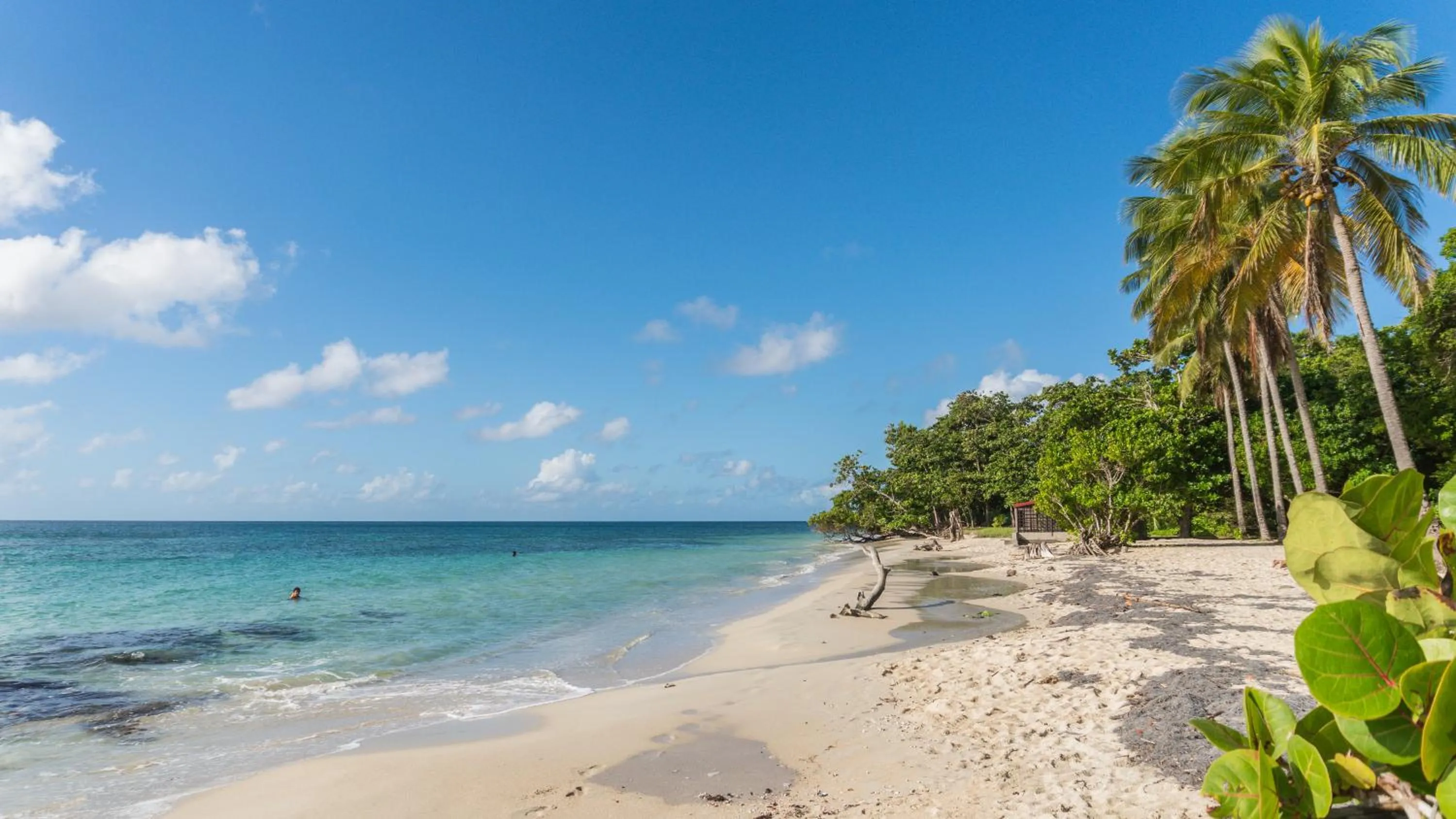 Beach in Residence Les Cayalines