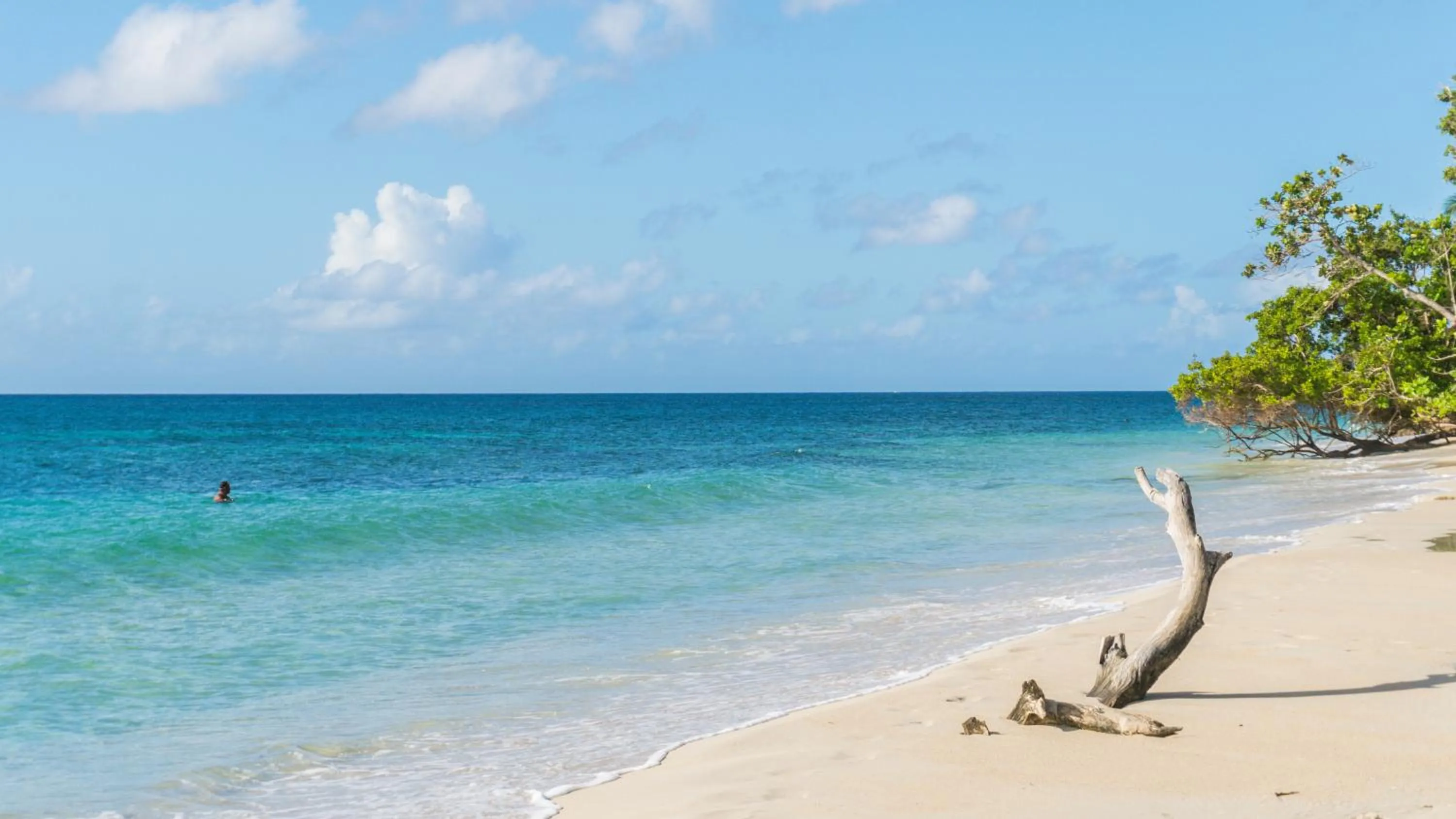 Beach in Residence Les Cayalines