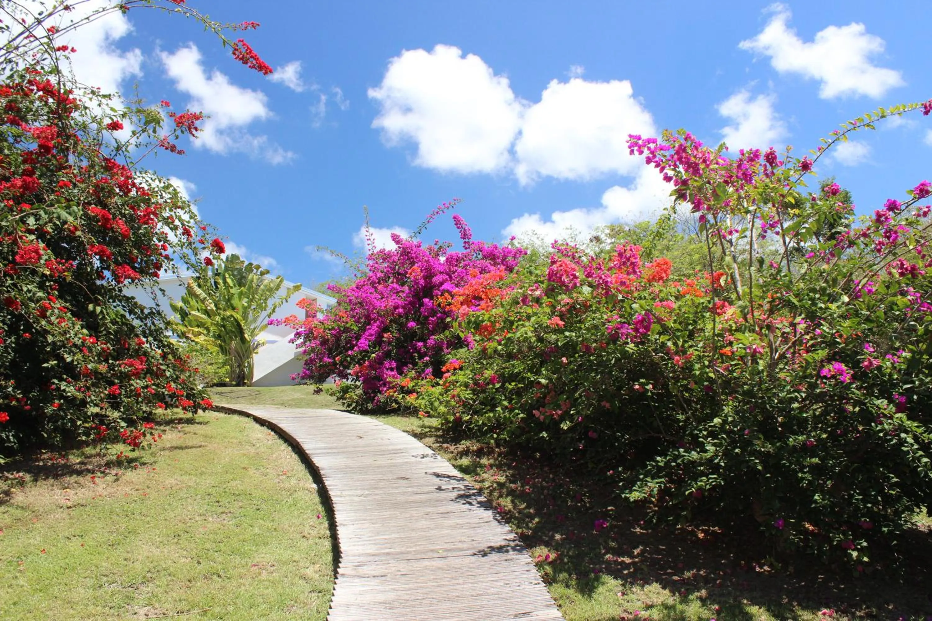 Day in Residence Les Cayalines