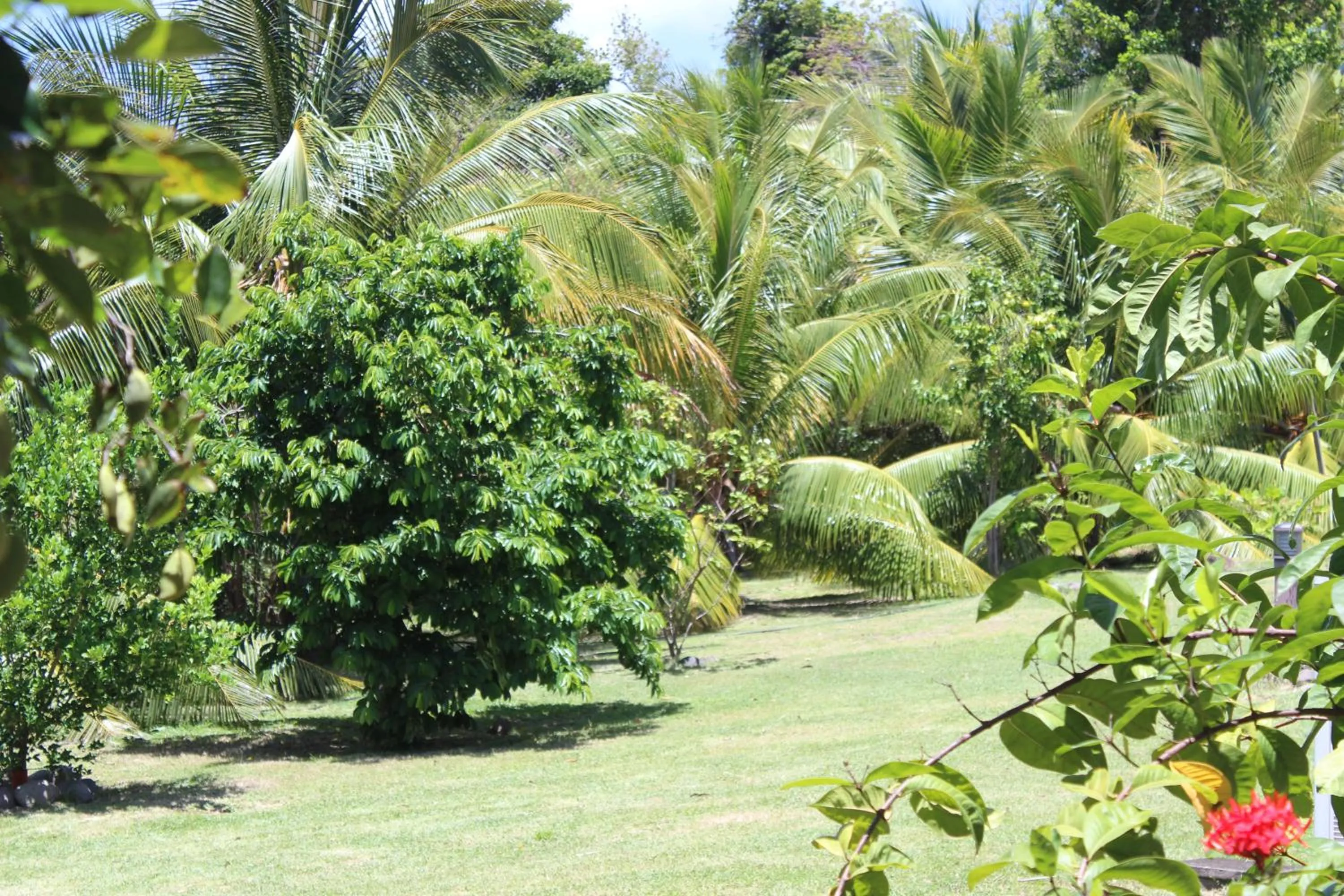 Day in Residence Les Cayalines