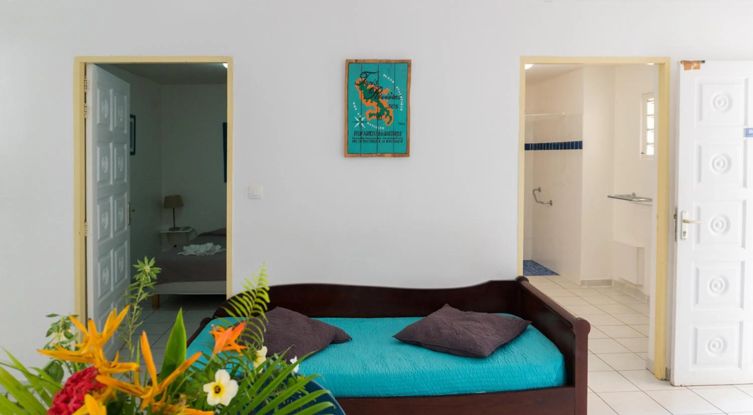 TV and multimedia in Residence Les Cayalines