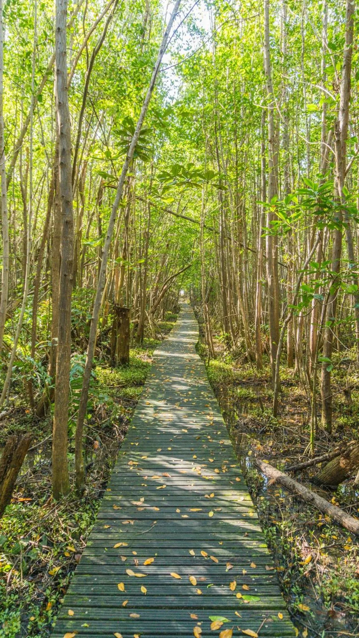 Garden in Residence Les Cayalines