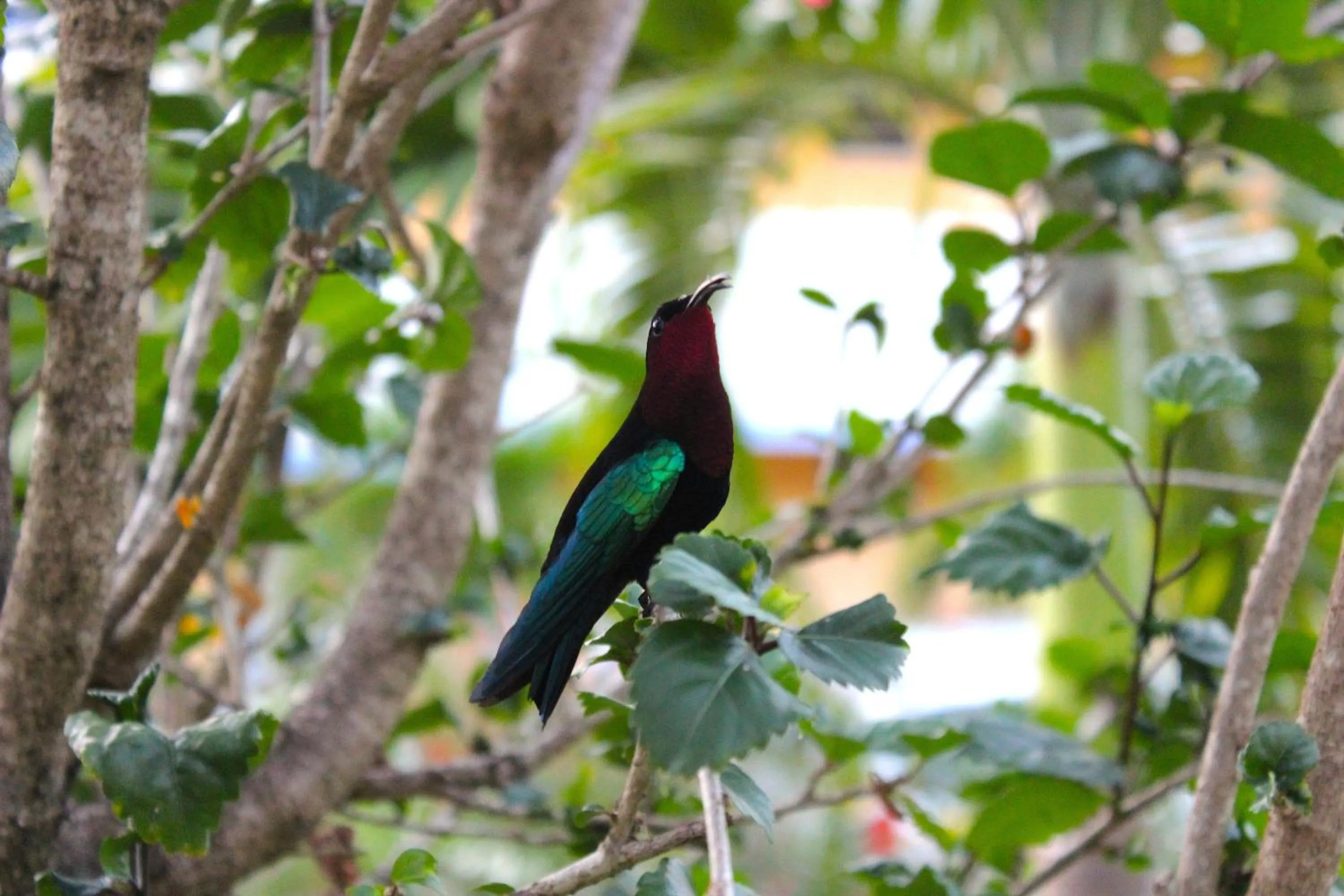 Other in Residence Les Cayalines