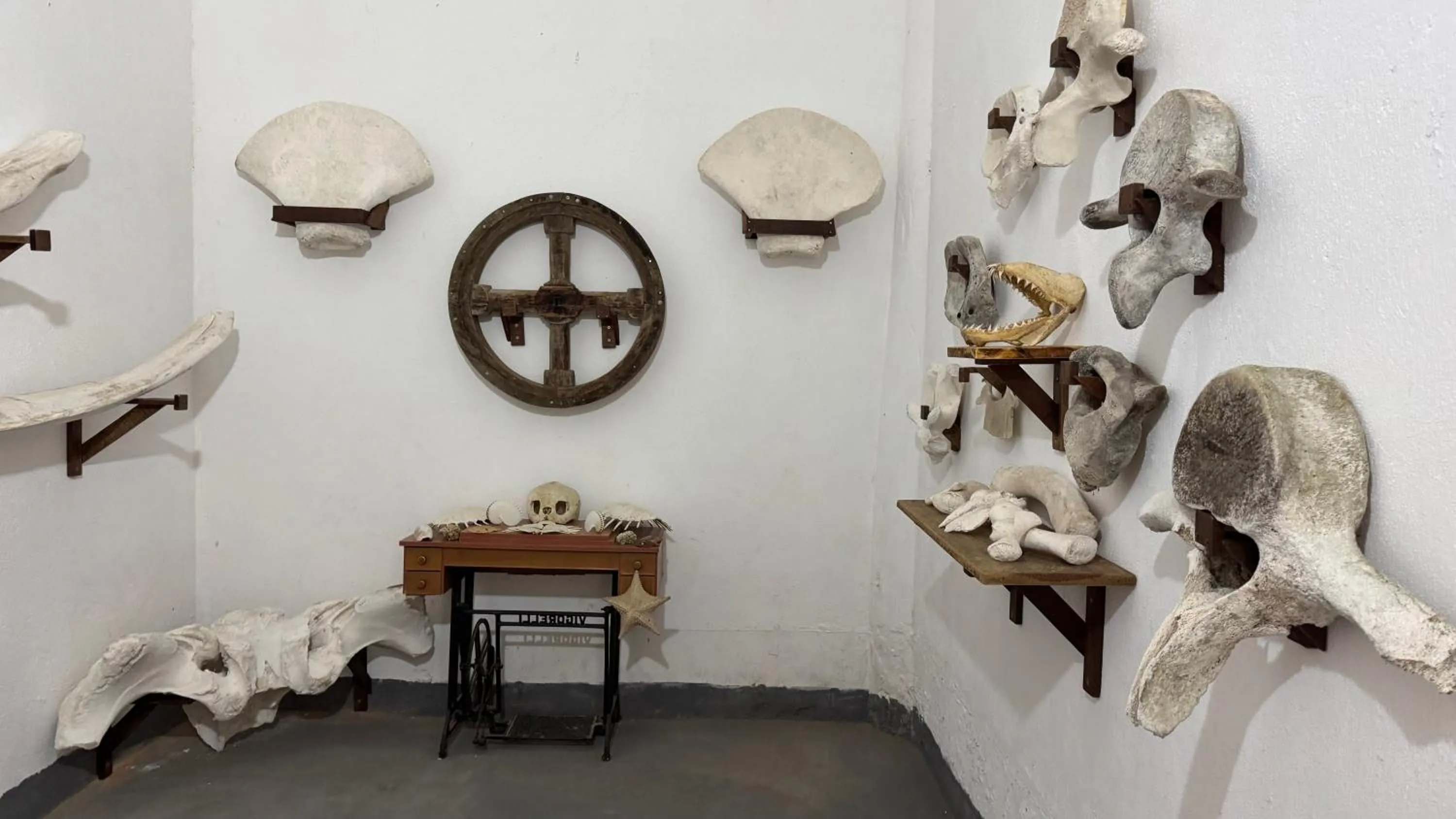 Decorative detail in Pousada Frezza Mergulho