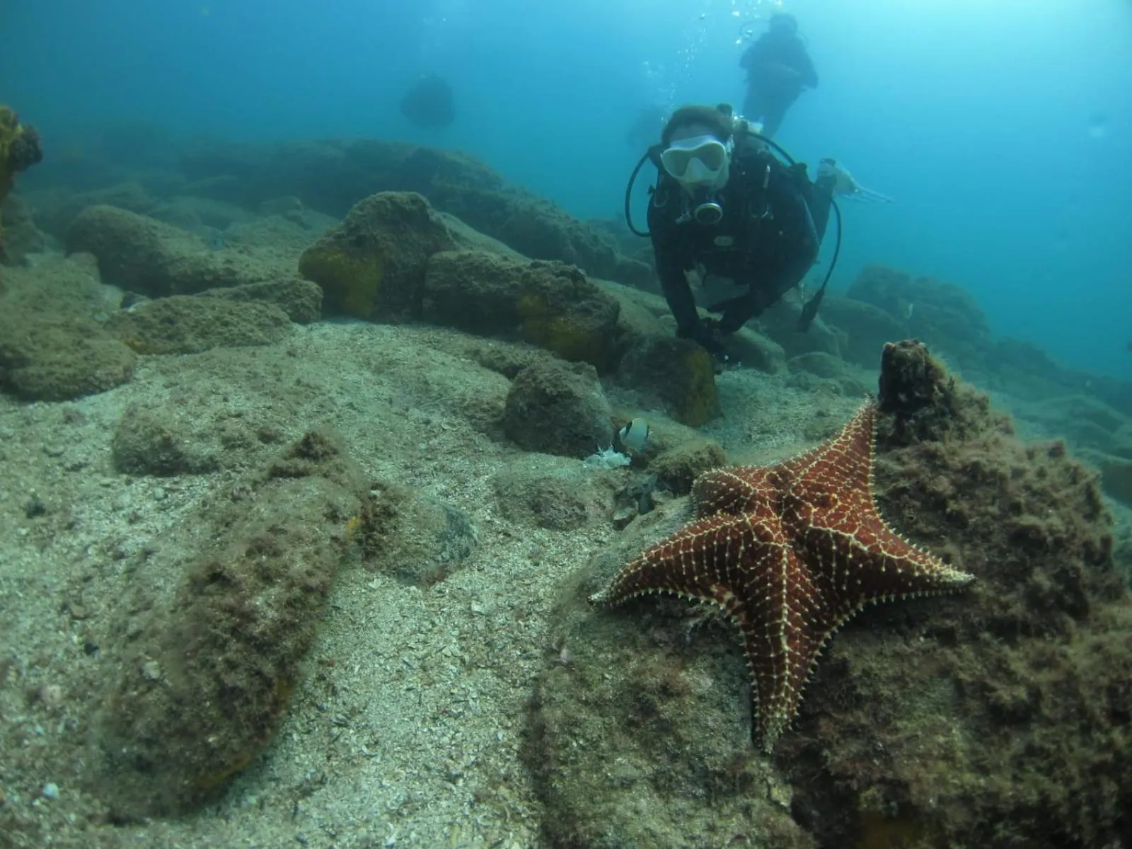 Activities in Pousada Frezza Mergulho