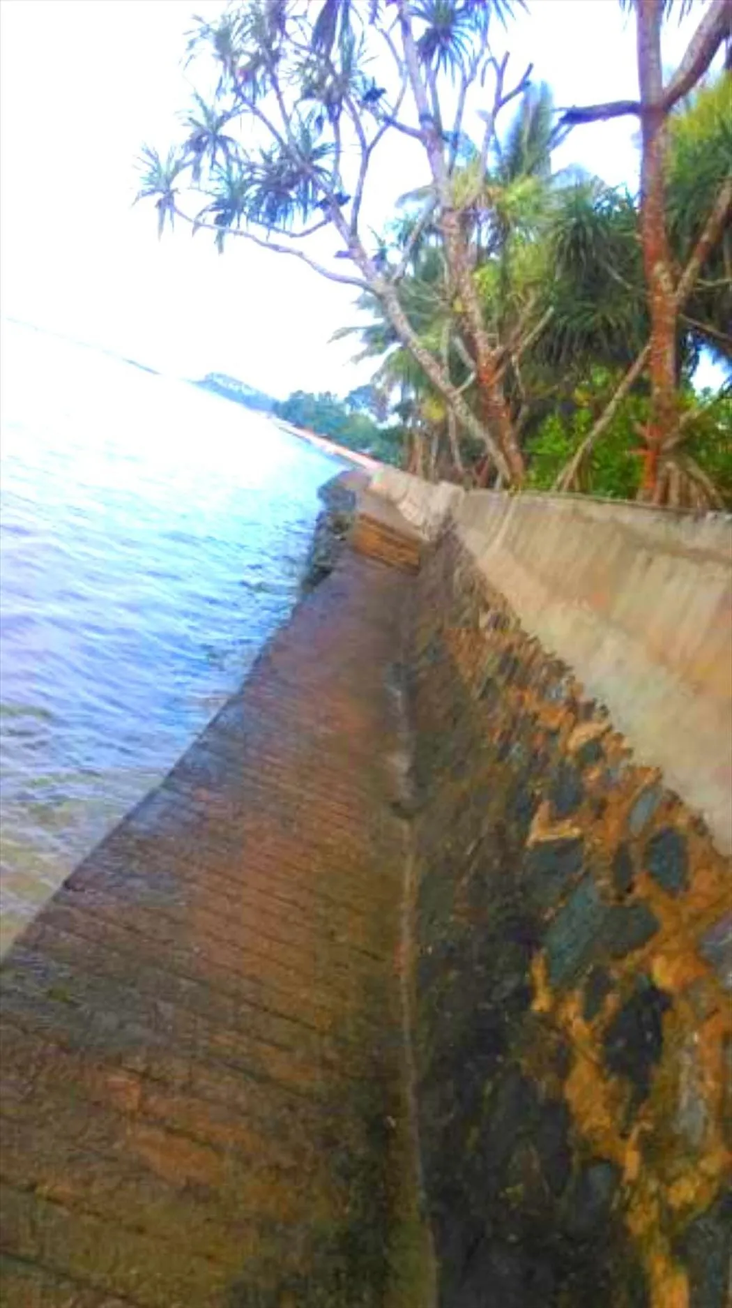 Beach in Chaya Villa Guest House