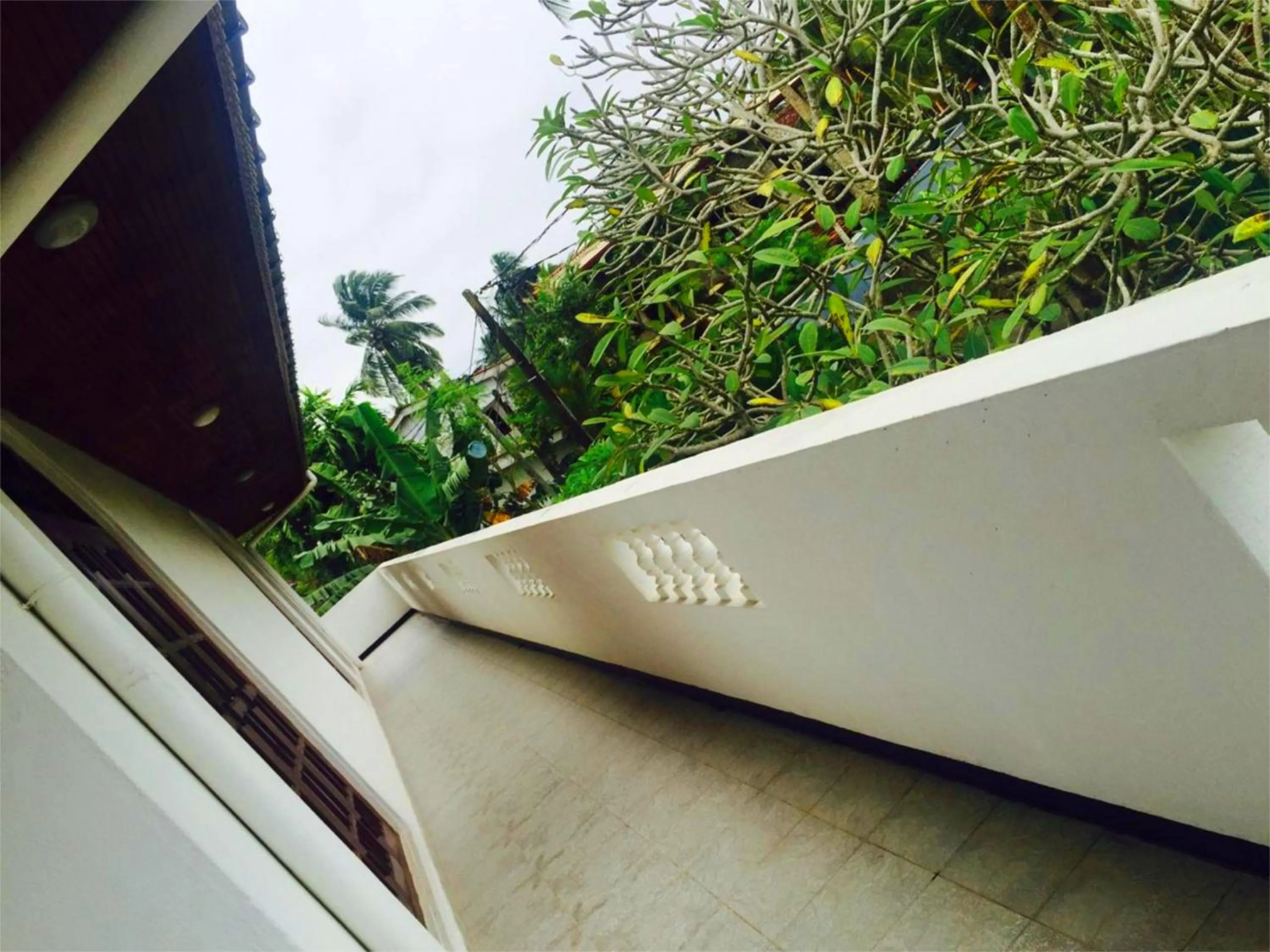 Balcony/Terrace in Chaya Villa Guest House