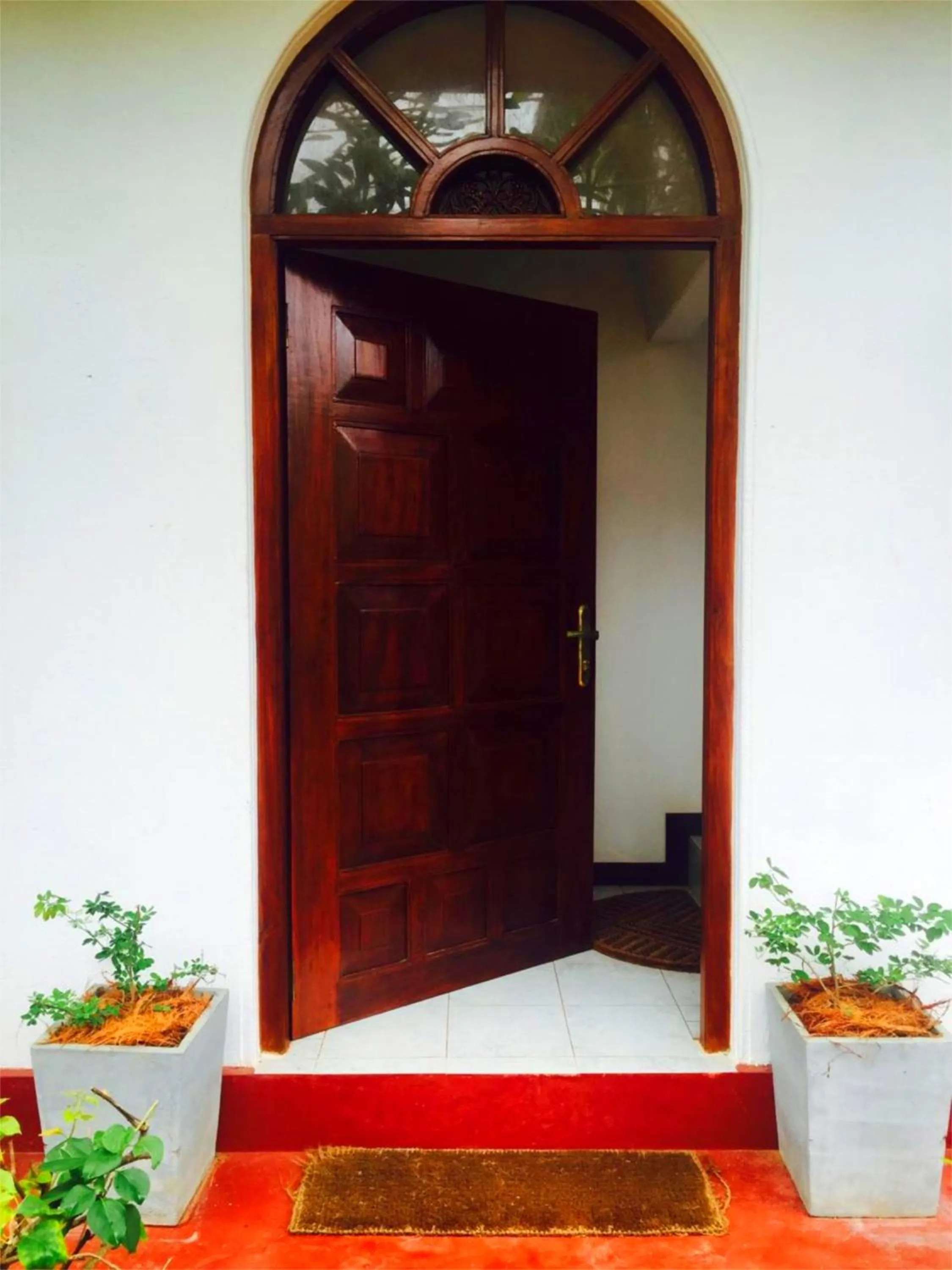 Area and facilities in Chaya Villa Guest House