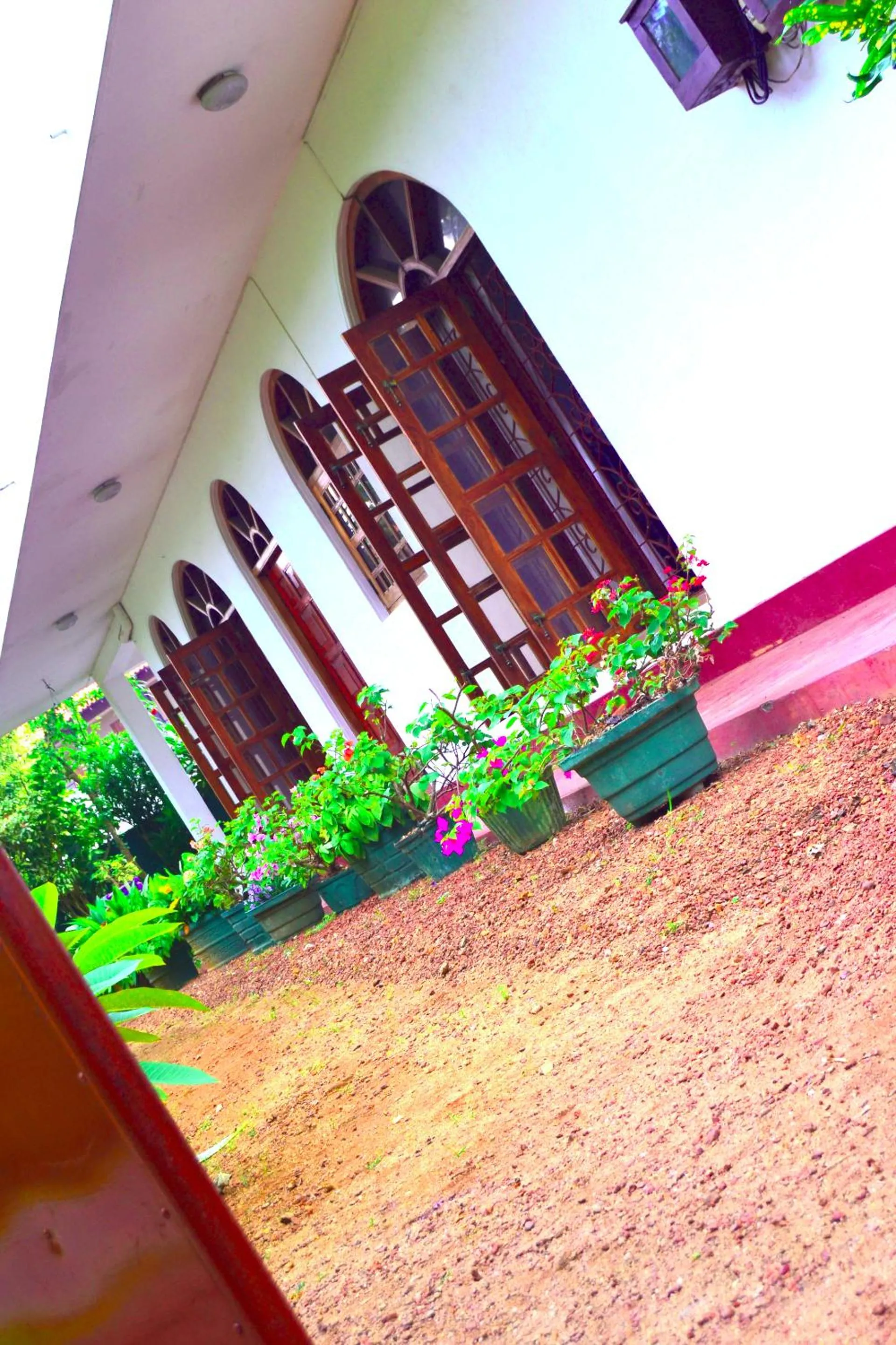 Natural landscape in Chaya Villa Guest House