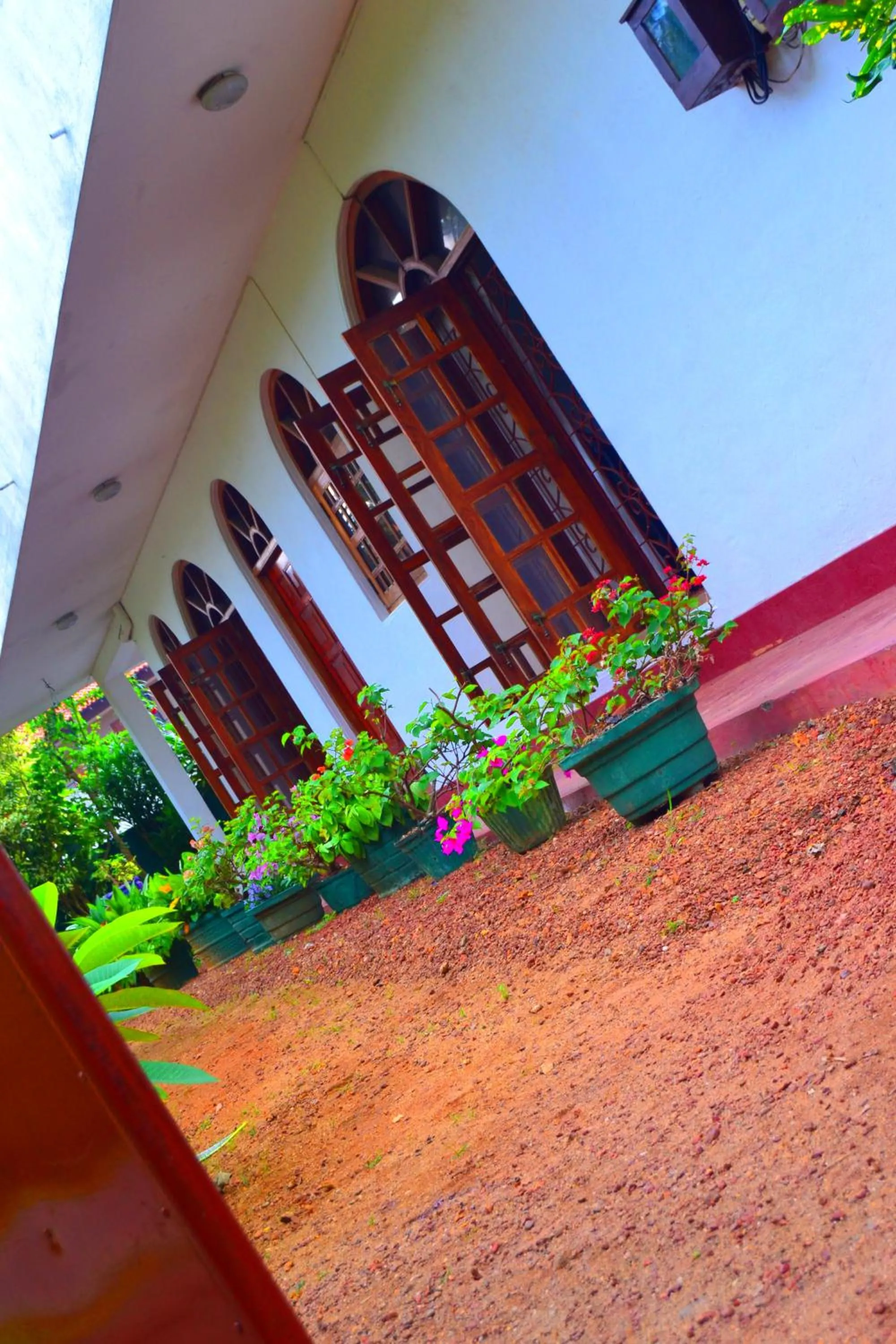 Natural landscape in Chaya Villa Guest House