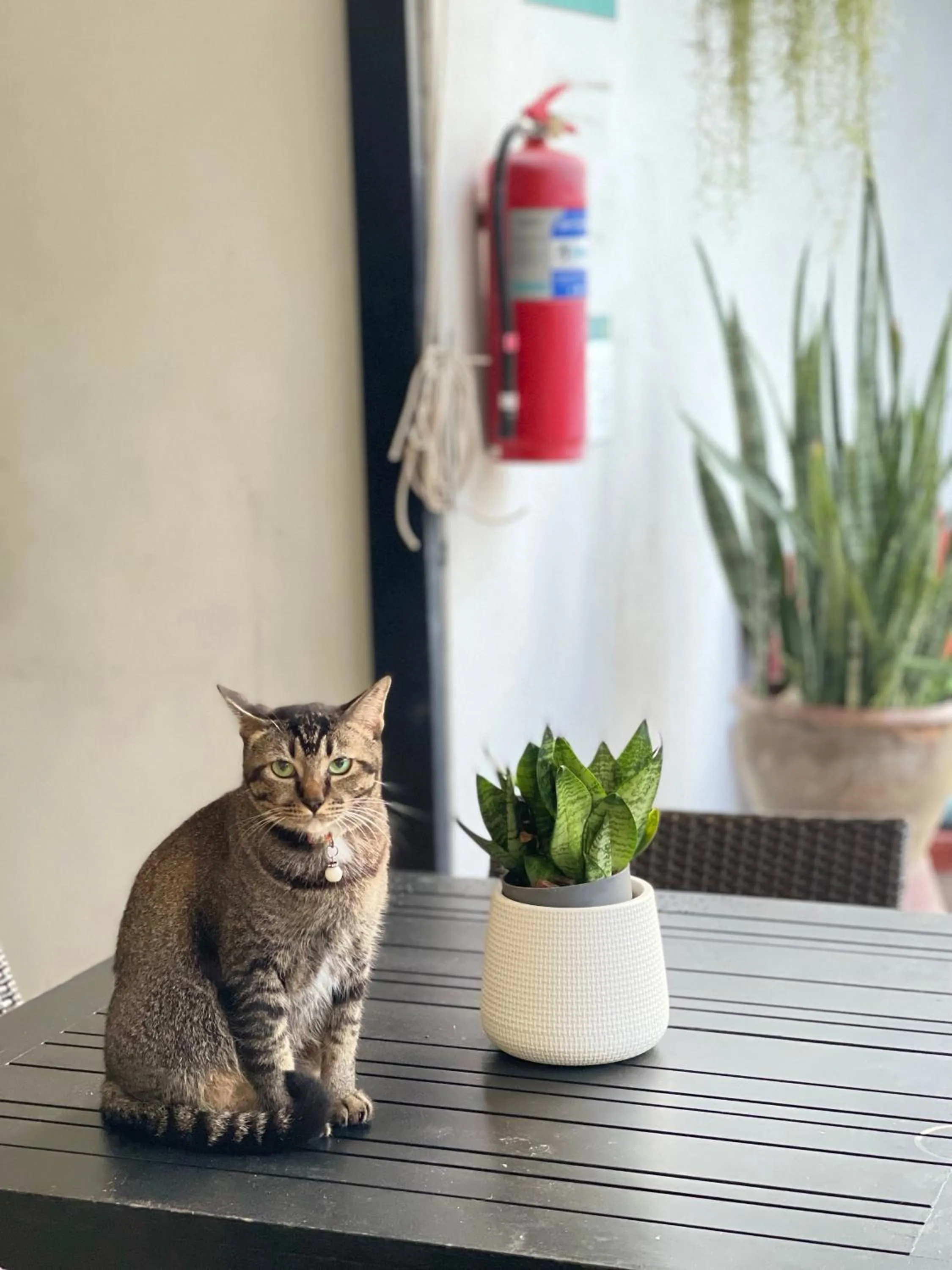 Property building in Good 9 at Home