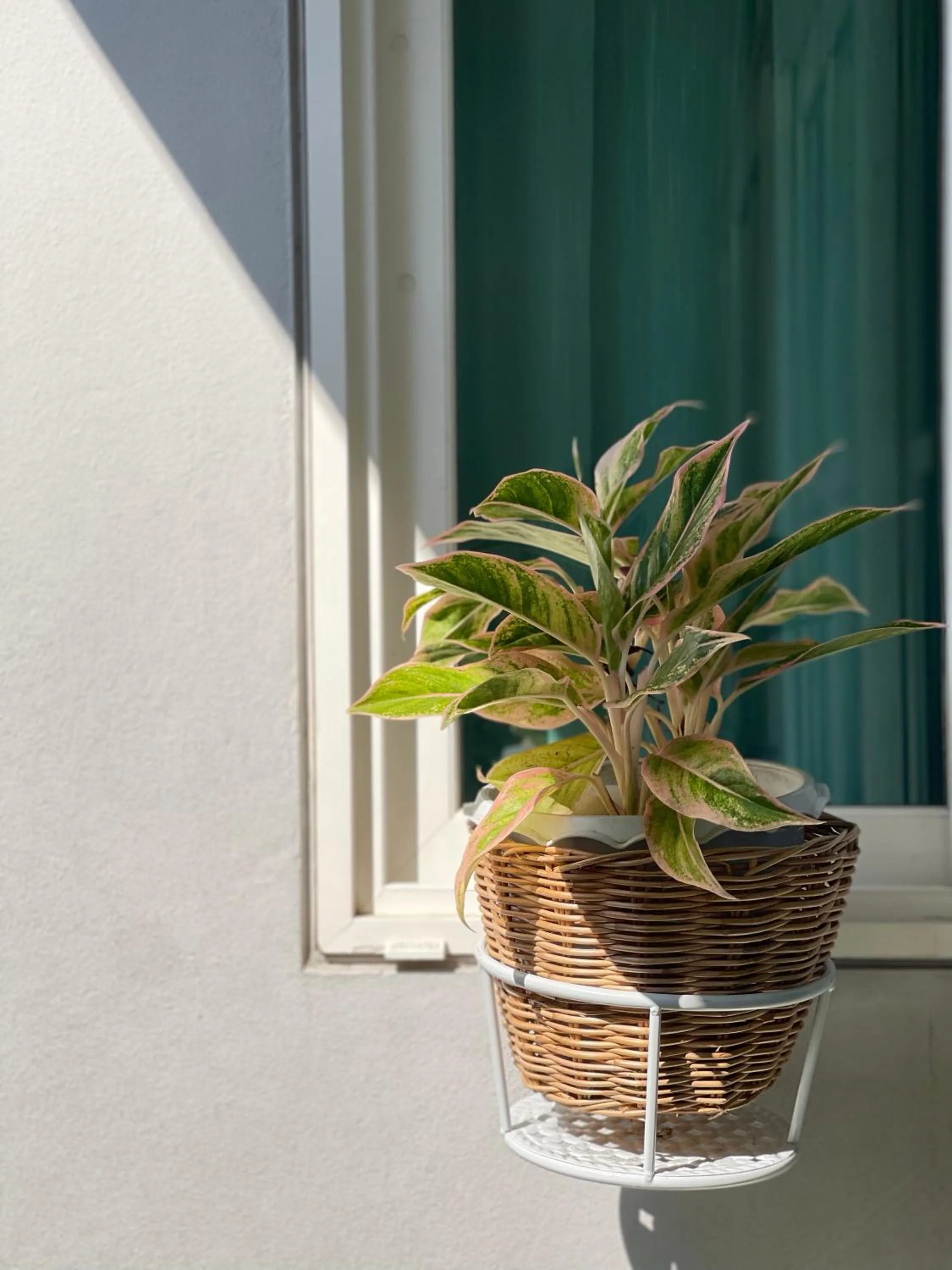 Property building in Good 9 at Home