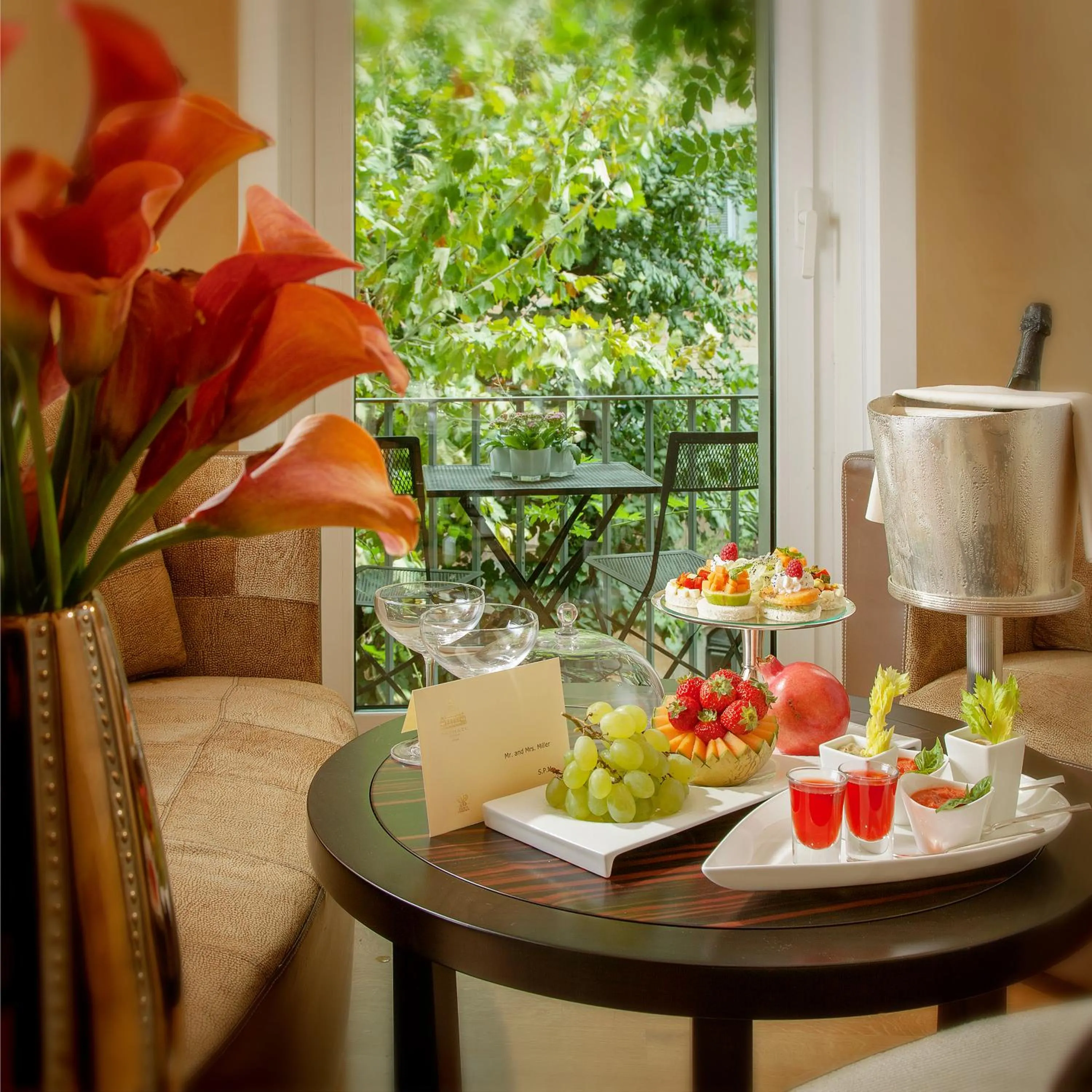 Area and facilities in Hotel Raphaël - Relais & Châteaux