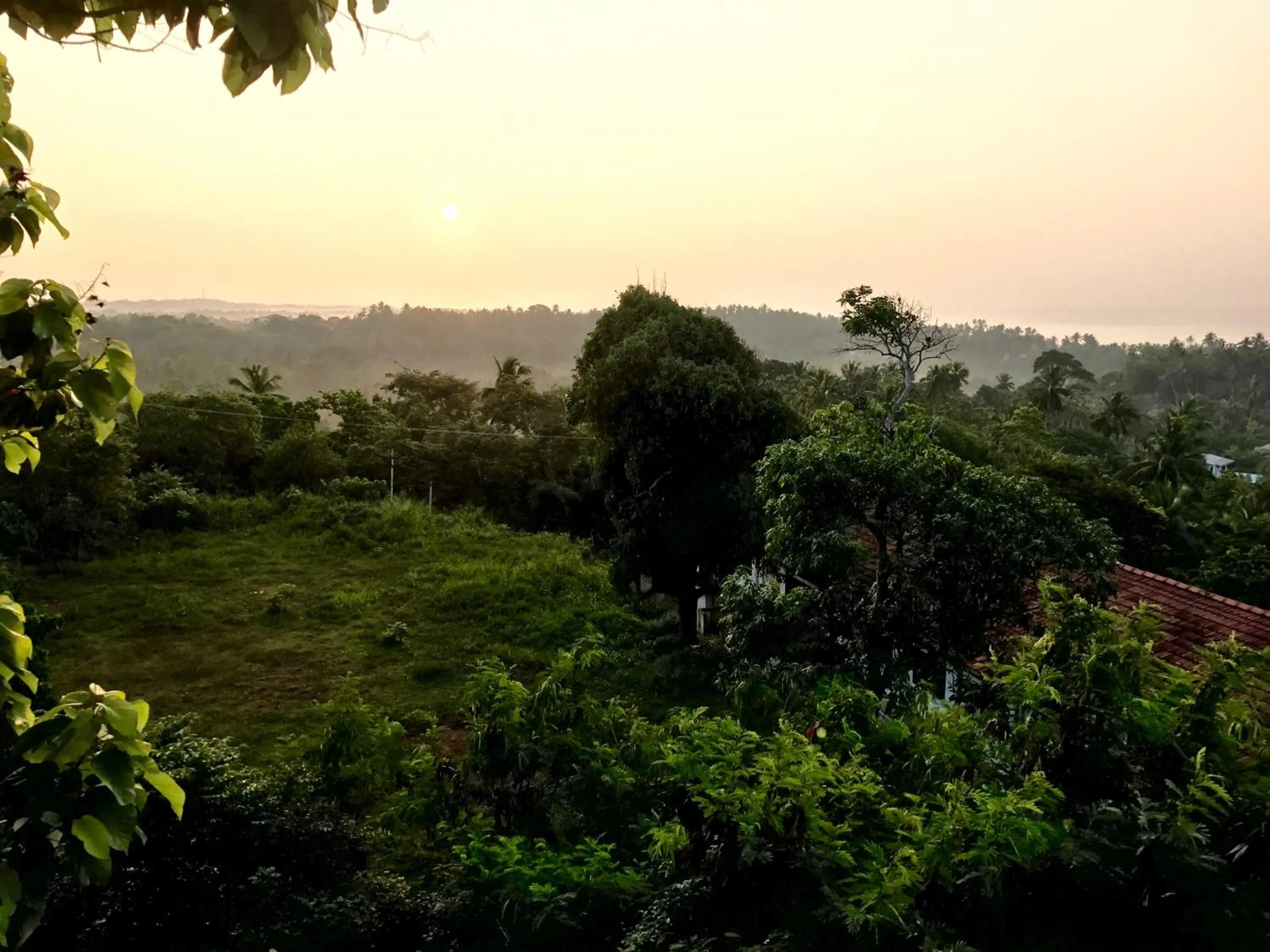 Mountain view in Lara's place