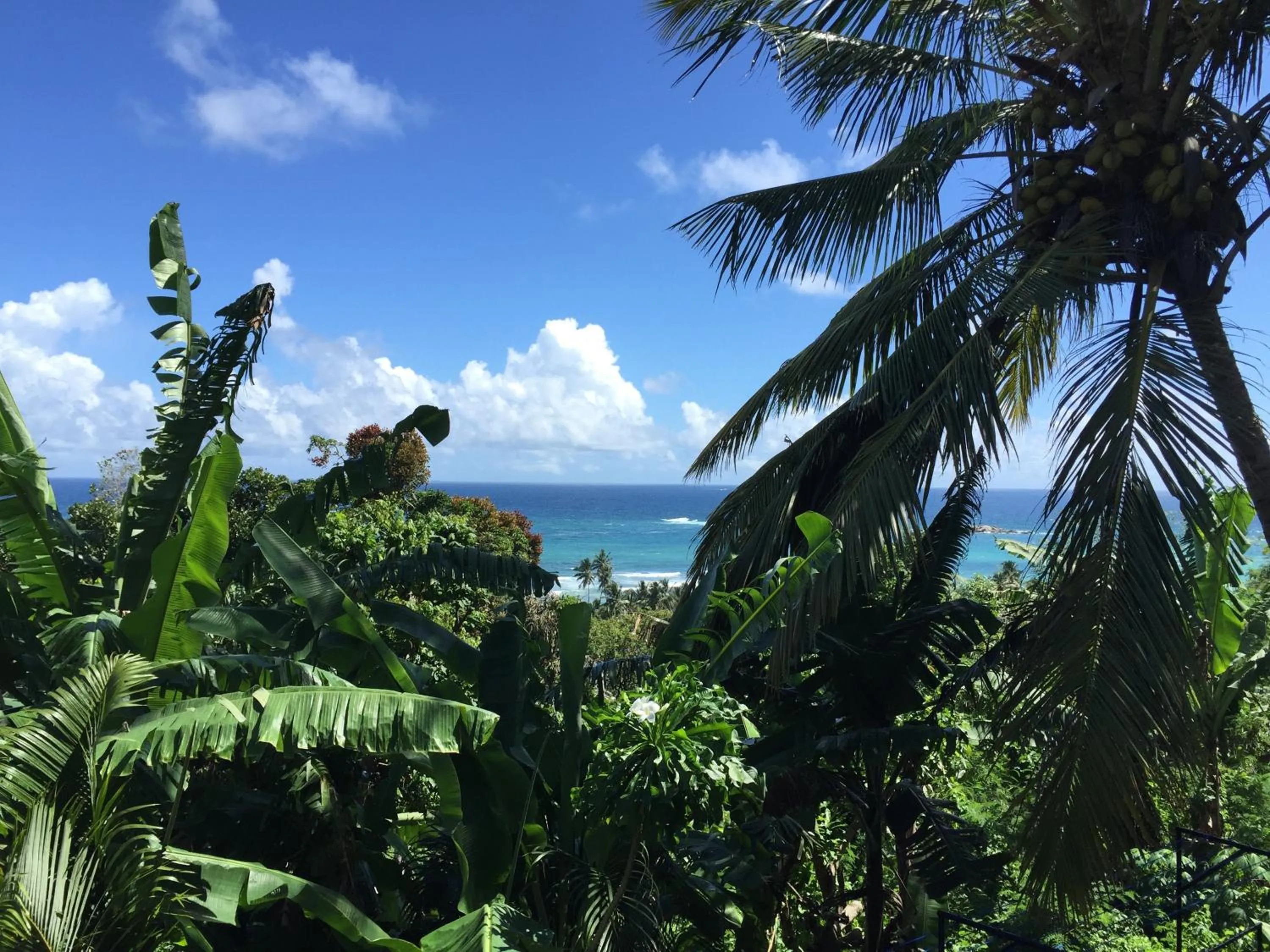 Sea view in Lara's place