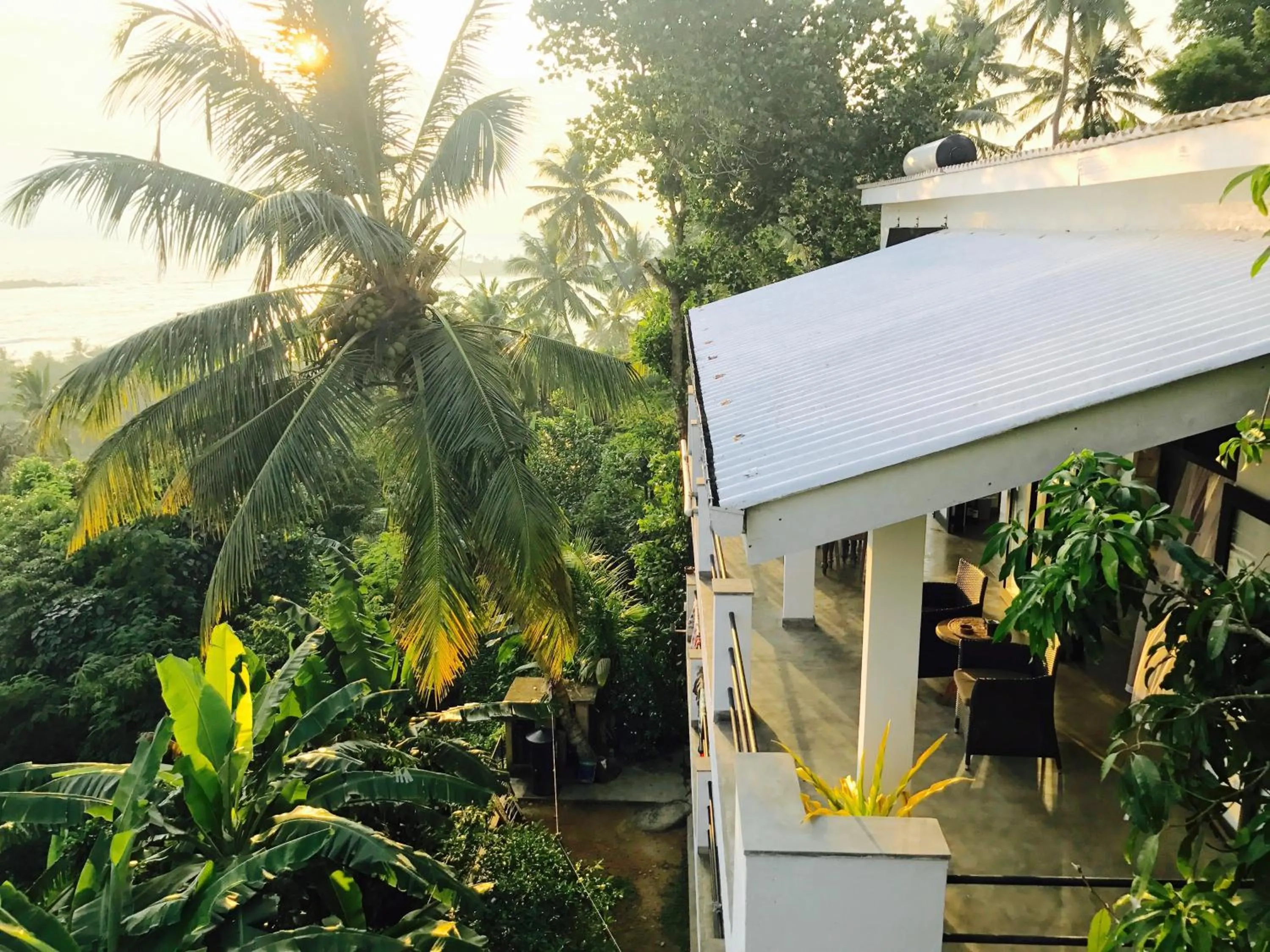 Bird's eye view in Lara's place