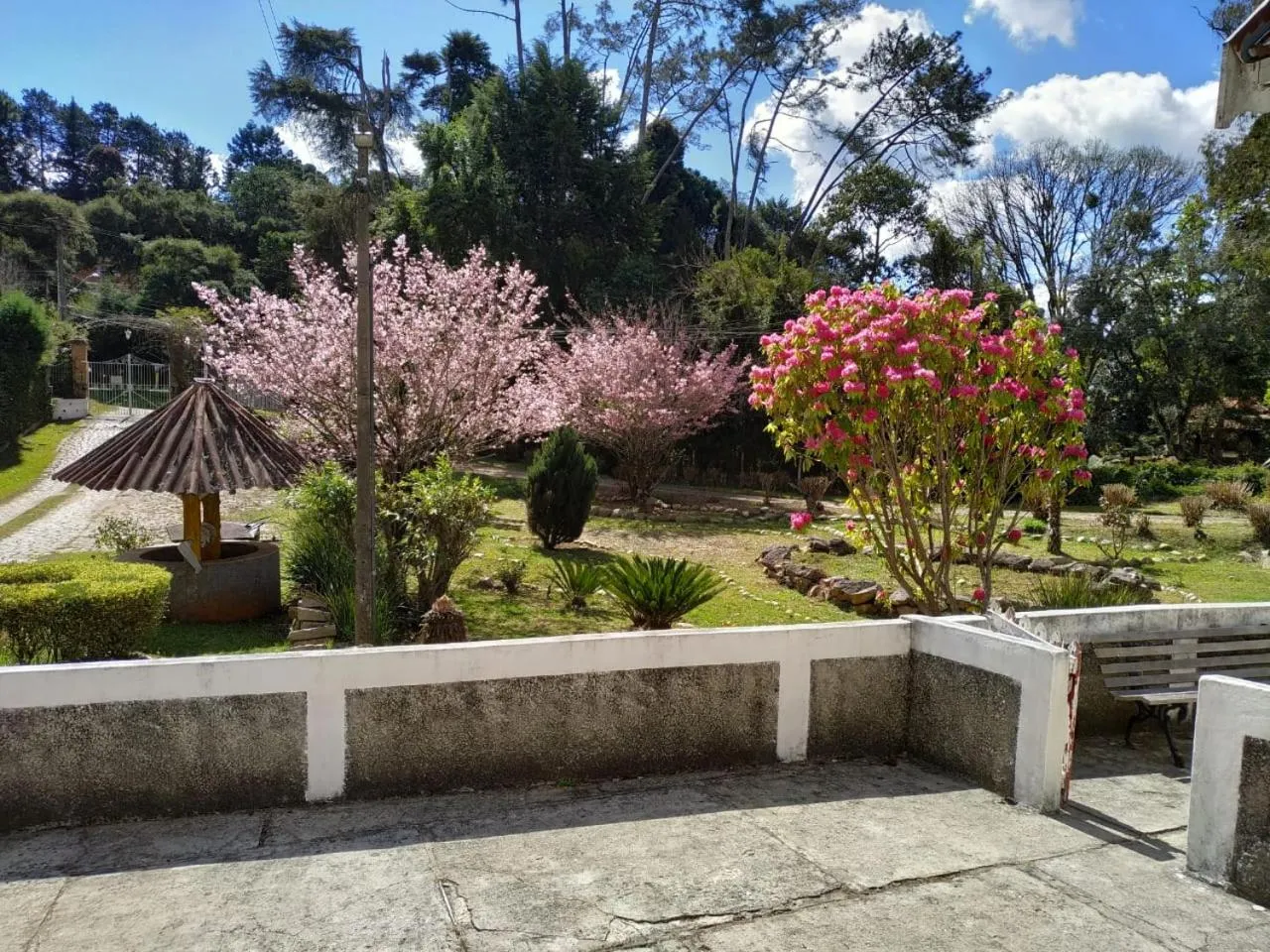 Garden in Colônia SAA