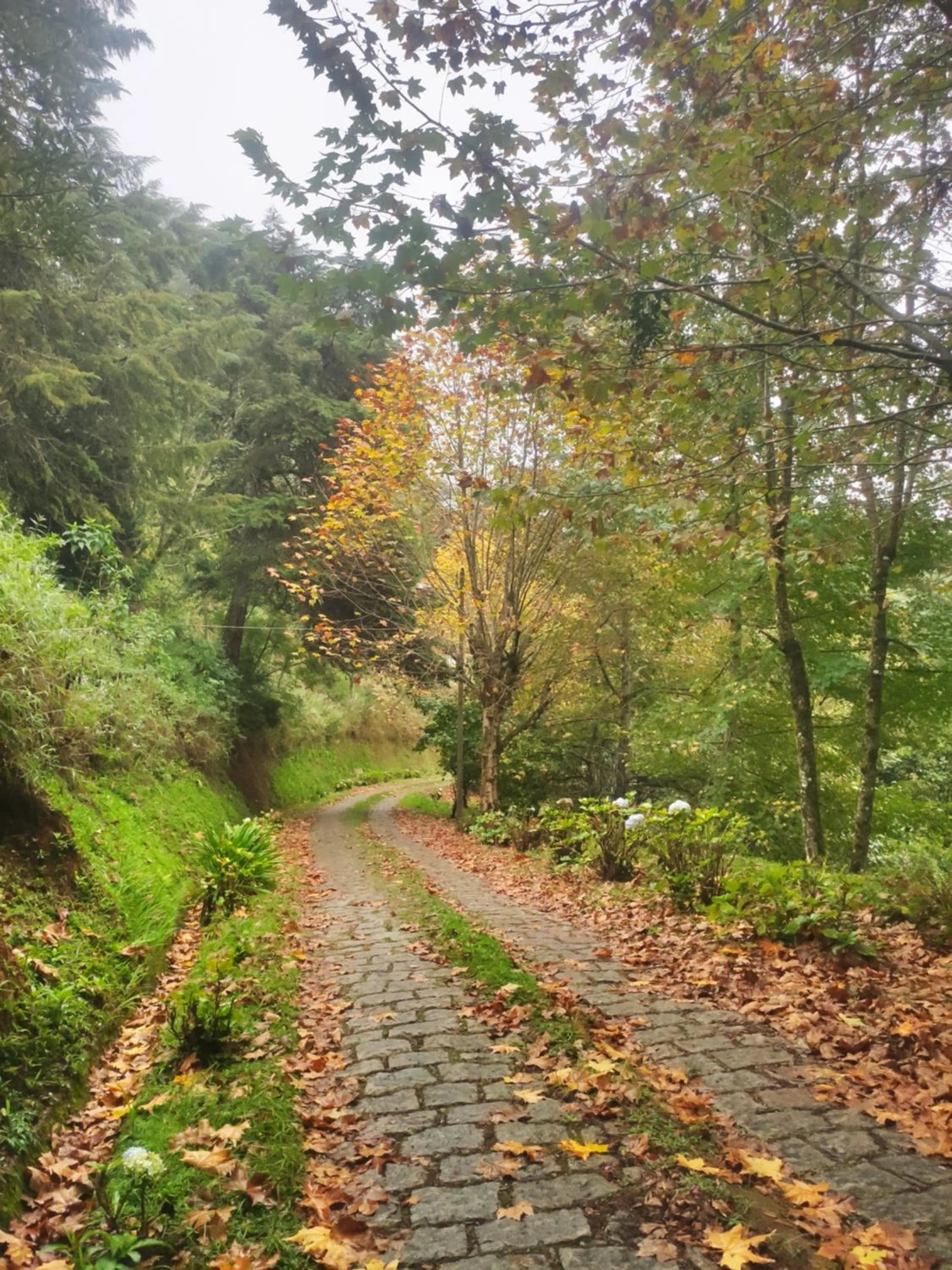 Street view in Colônia SAA