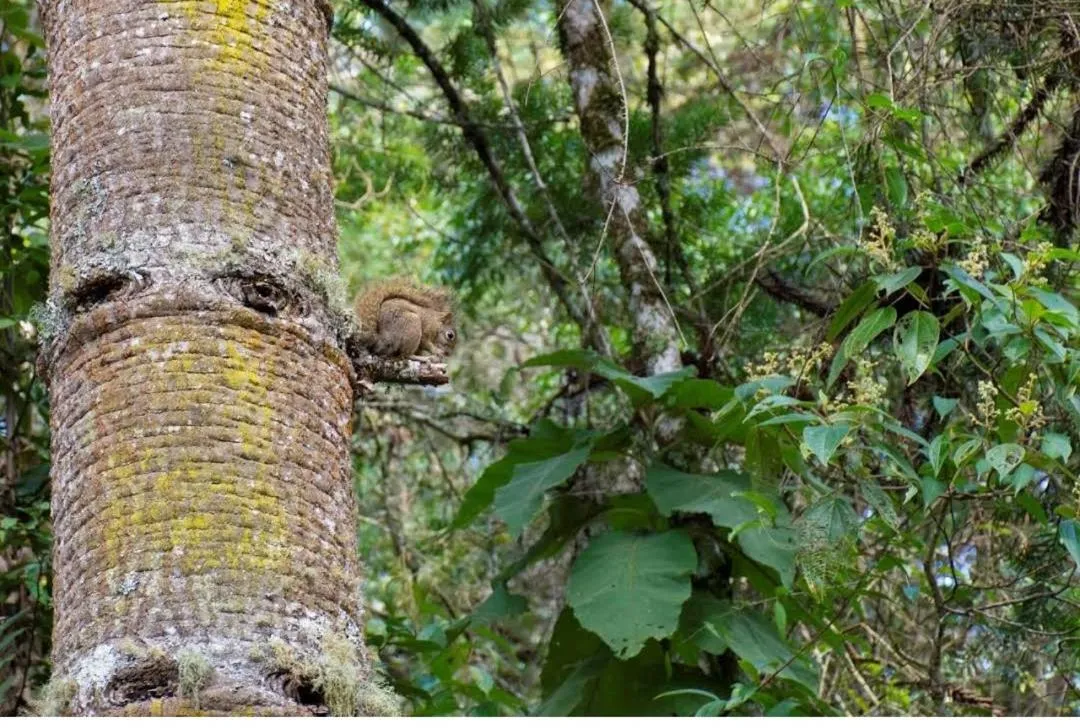 Natural landscape in Colônia SAA