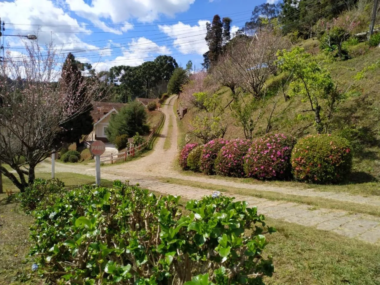 Garden in Colônia SAA