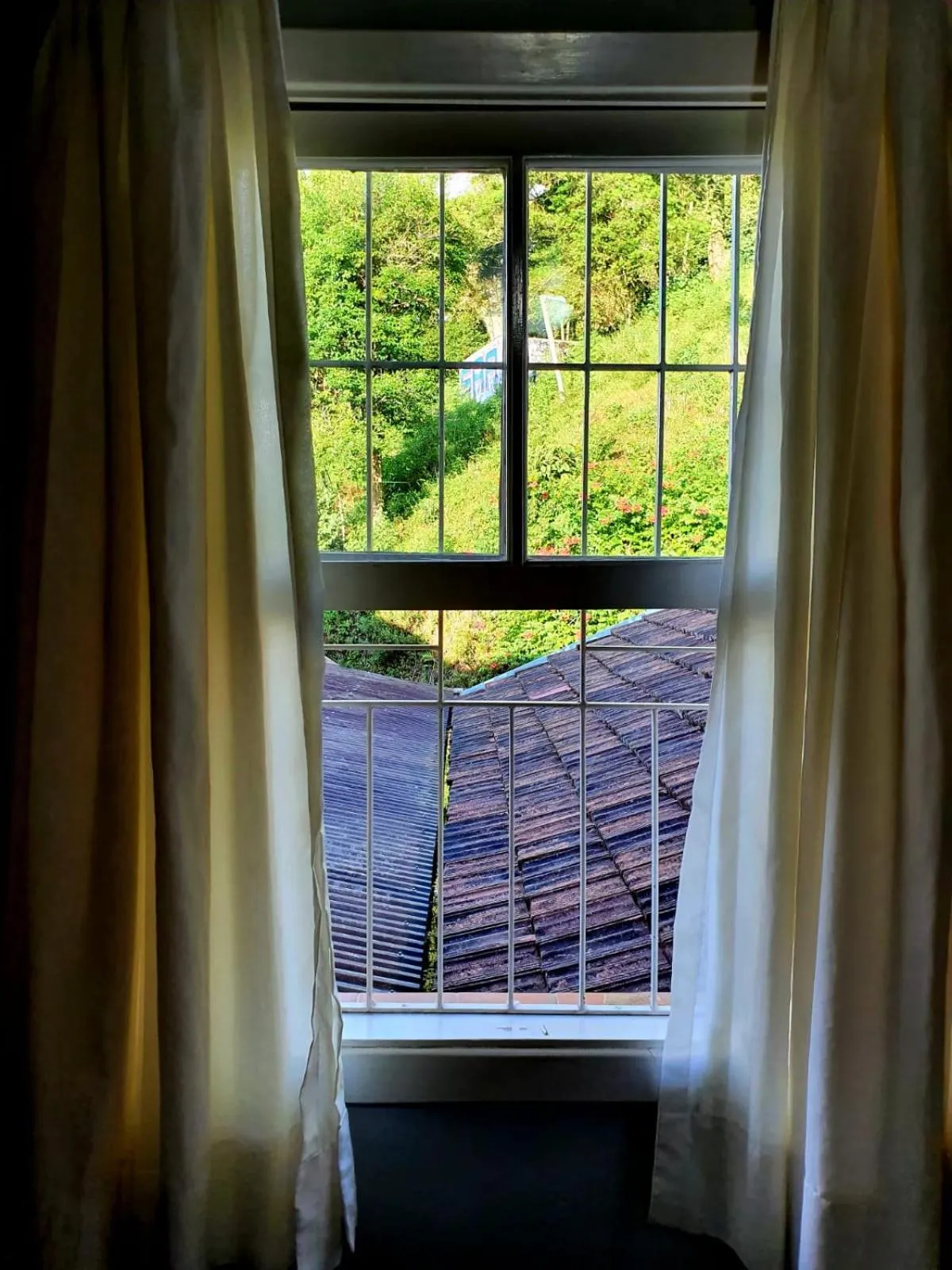 View (from property/room) in Colônia SAA