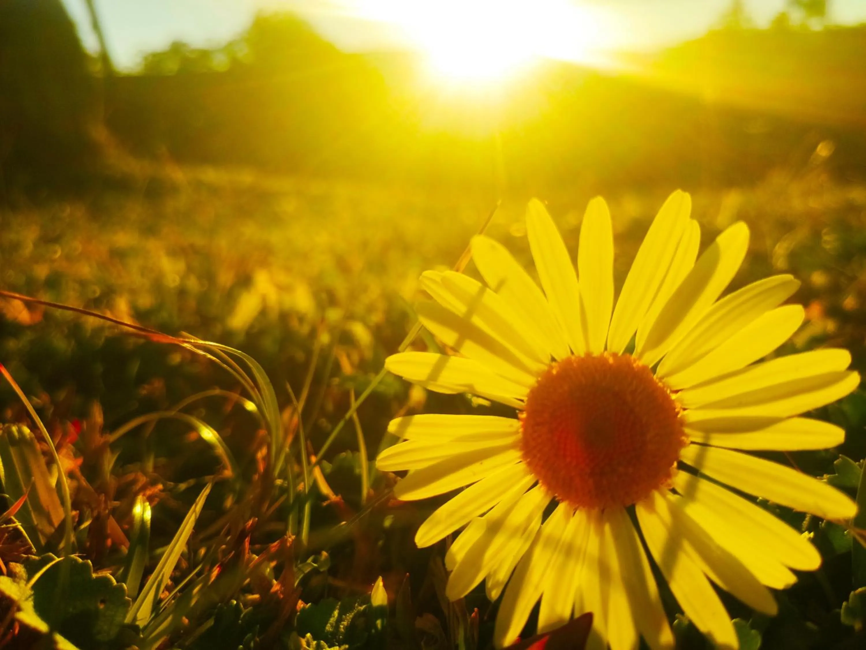 Natural landscape in Colônia SAA