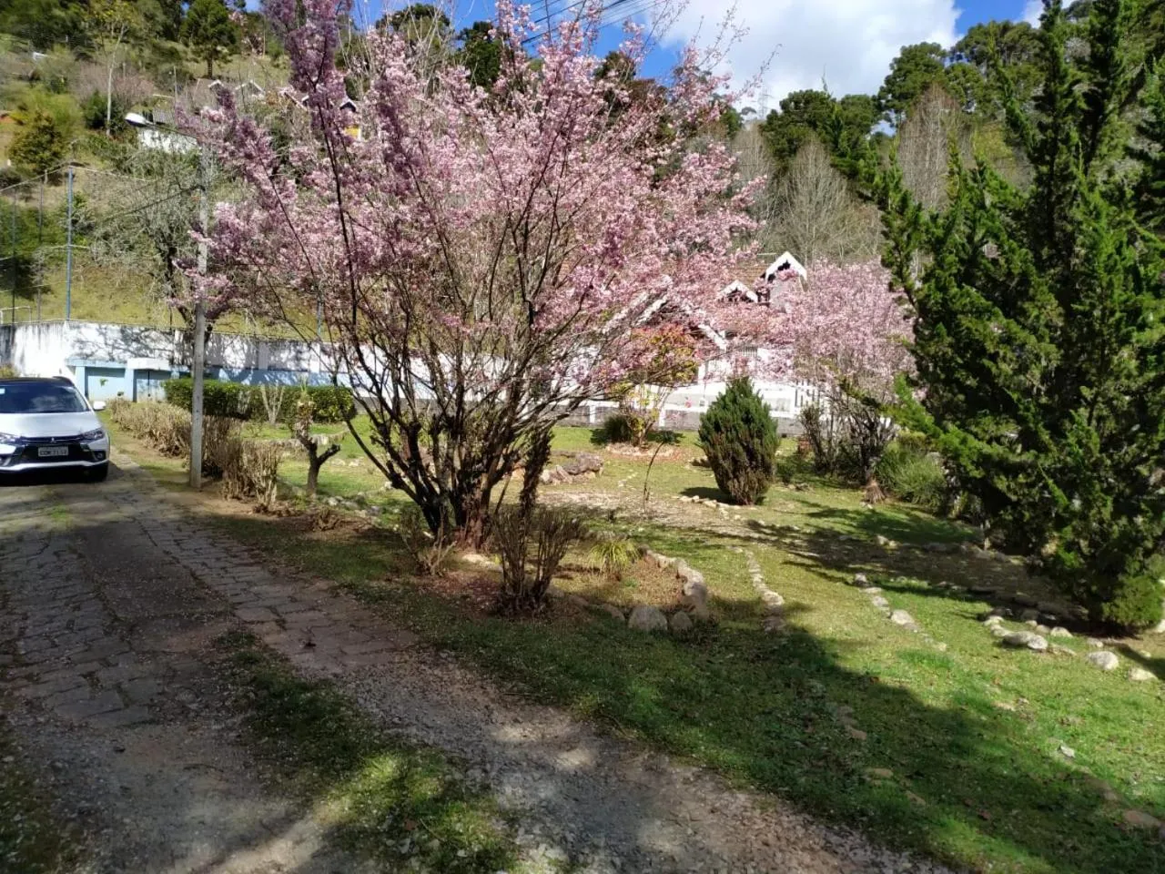 Natural landscape in Colônia SAA
