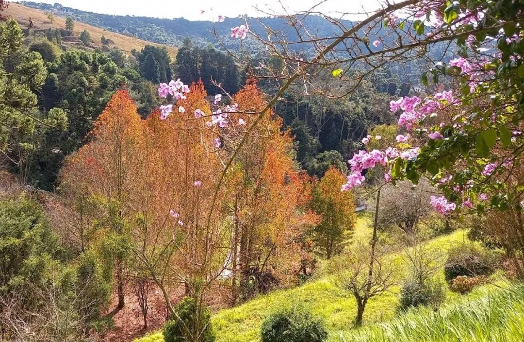 Natural landscape in Colônia SAA