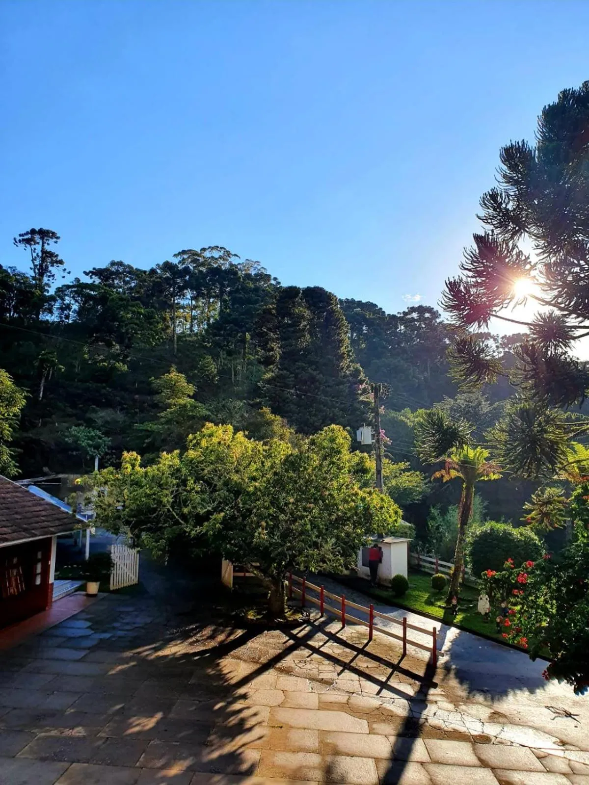 View (from property/room) in Colônia SAA