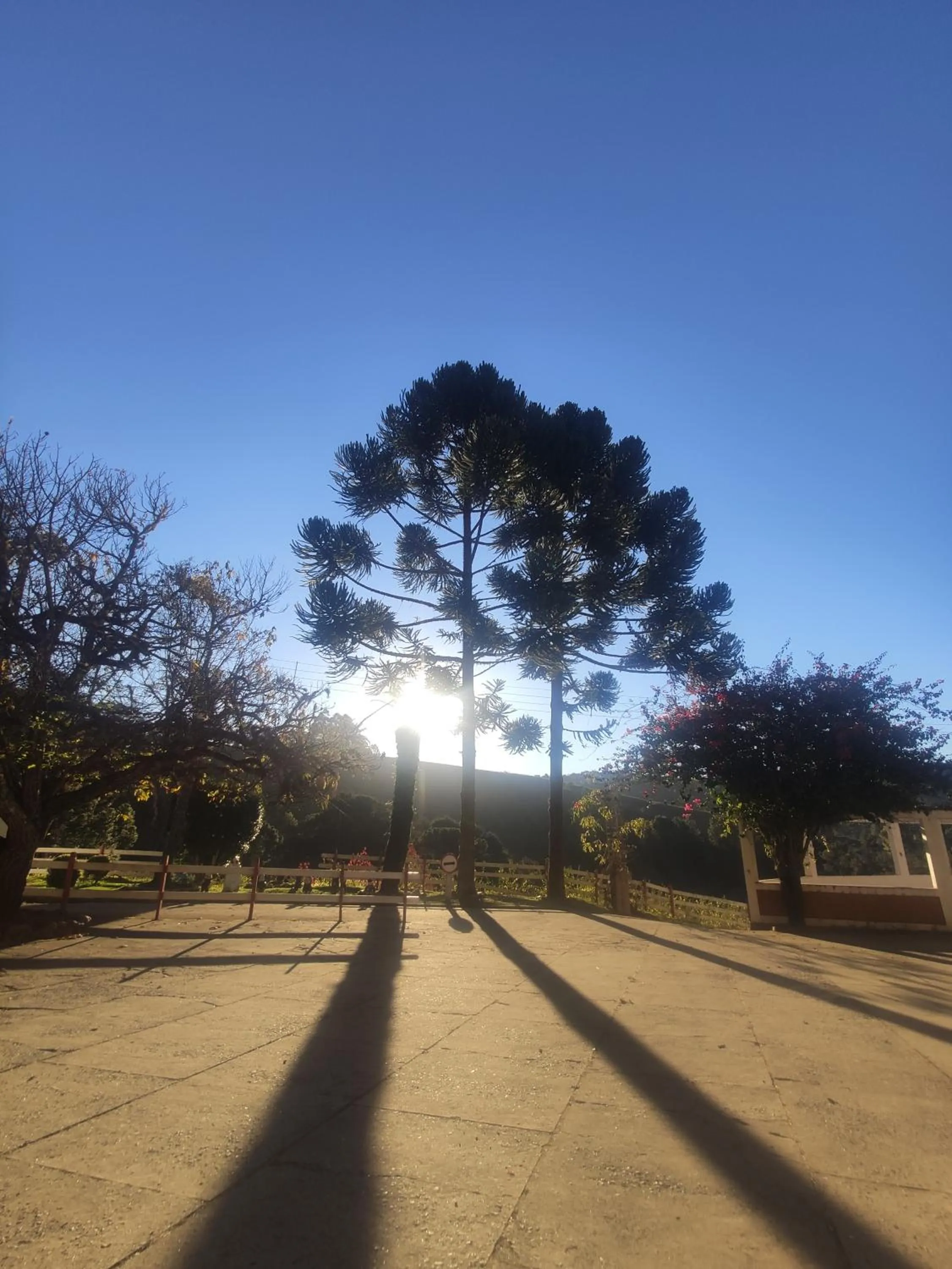 View (from property/room) in Colônia SAA