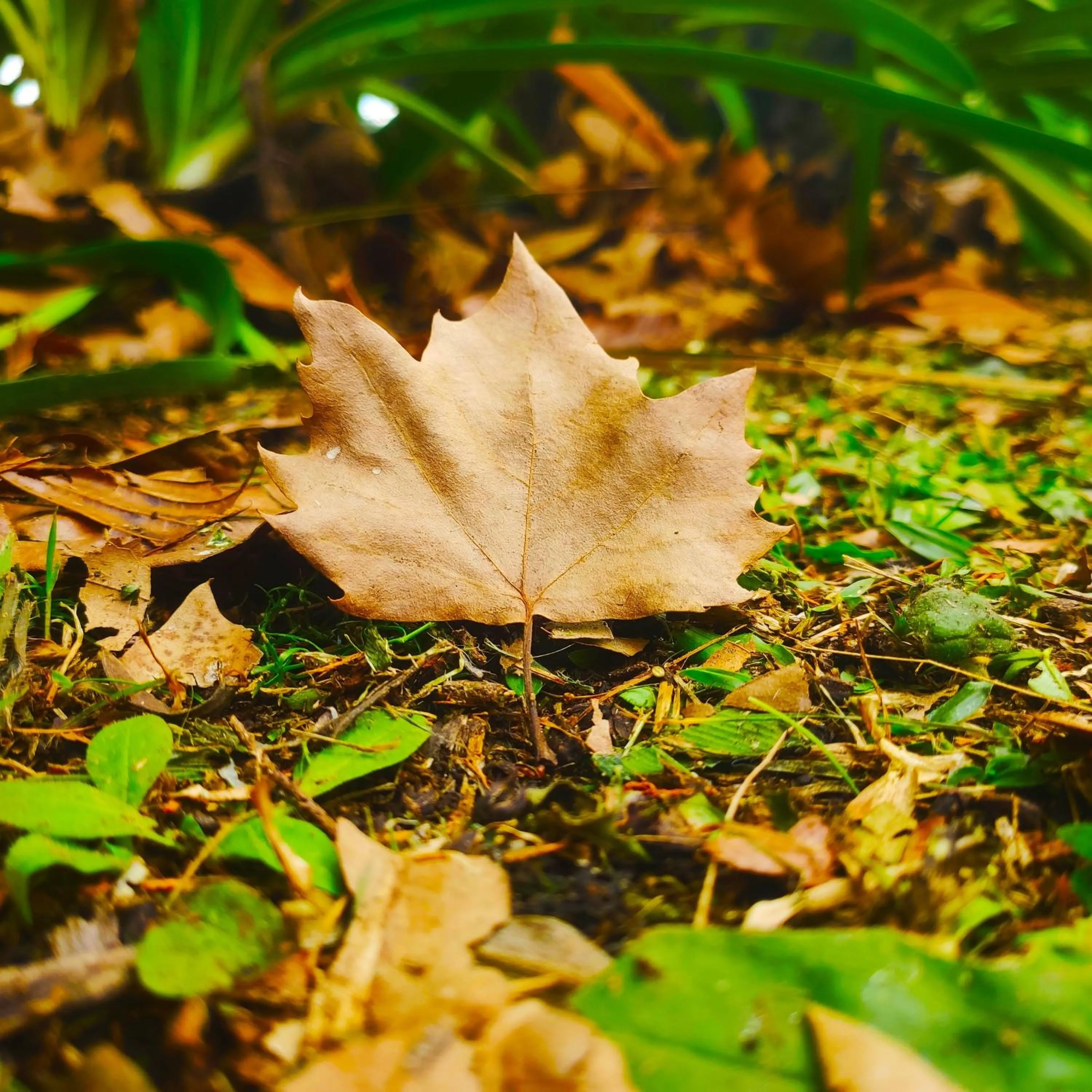 Natural landscape in Colônia SAA