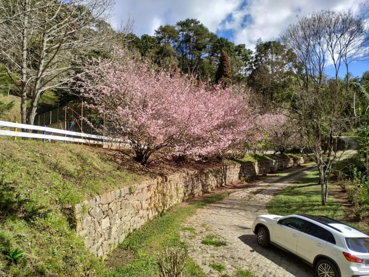 Natural landscape in Colônia SAA