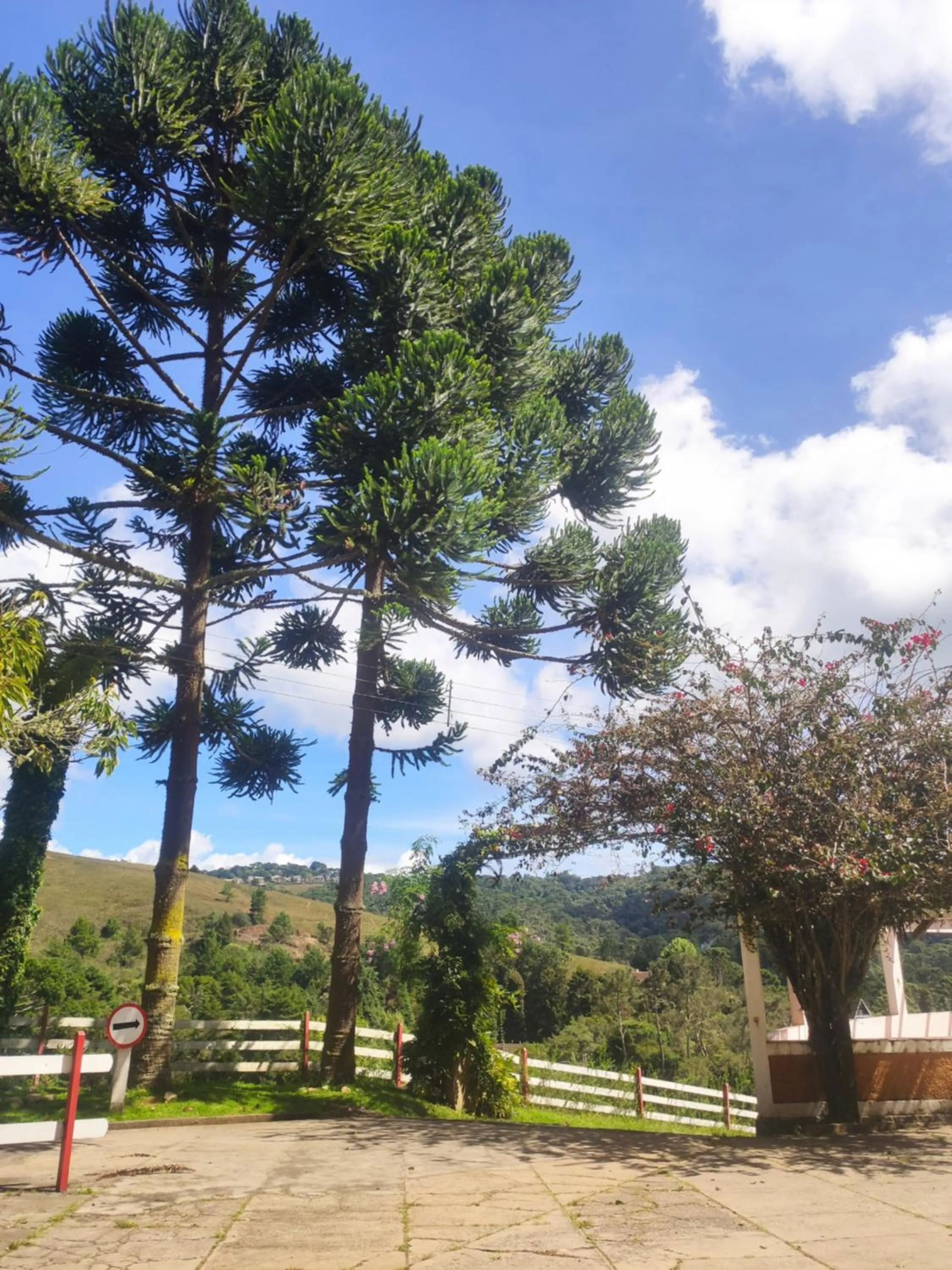 View (from property/room) in Colônia SAA