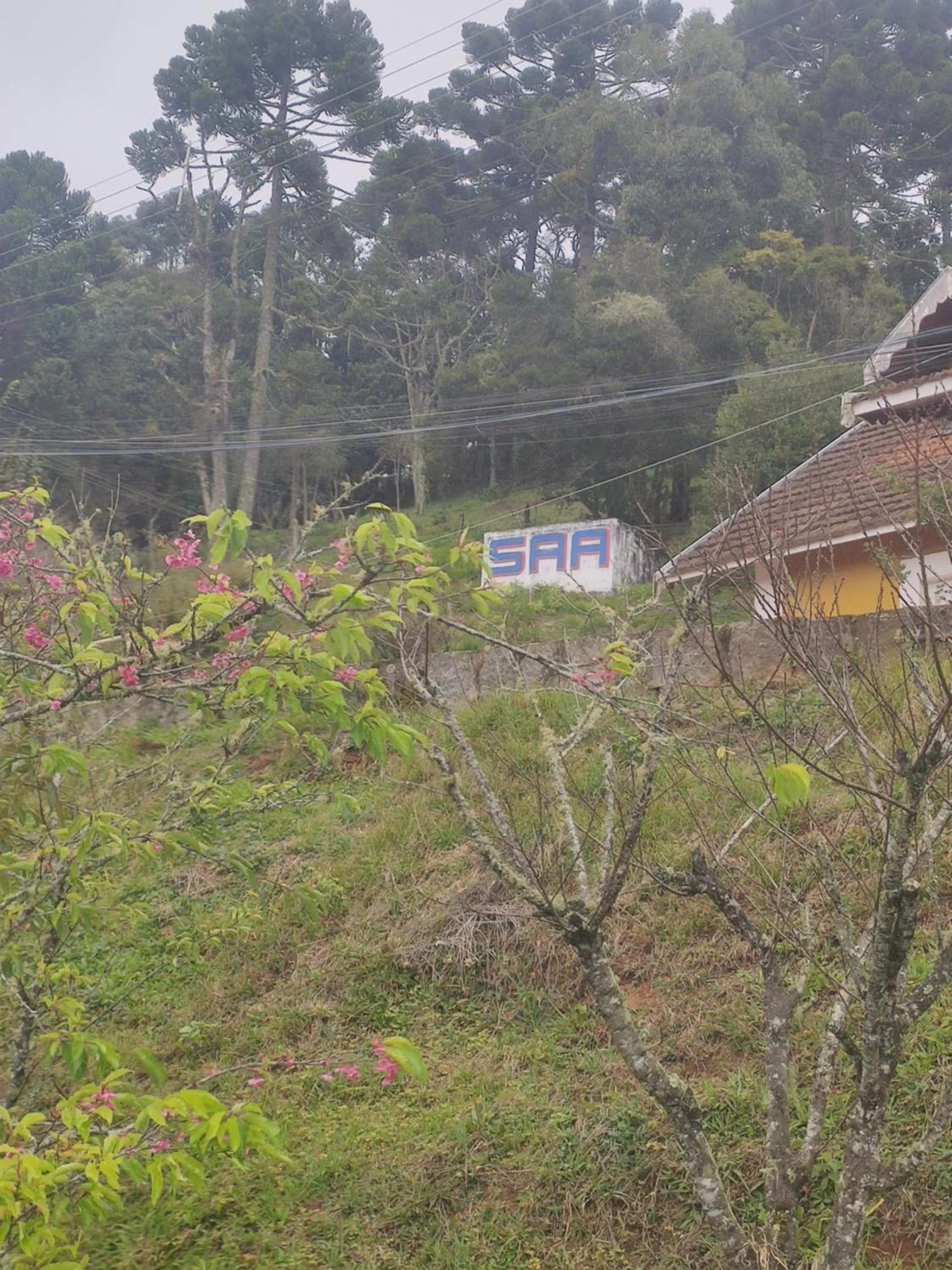 View (from property/room) in Colônia SAA
