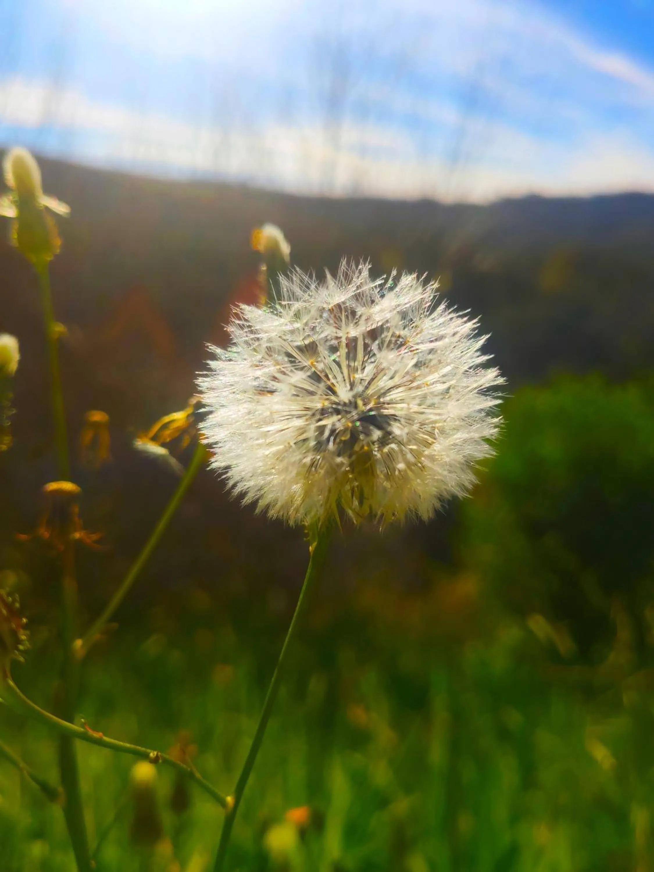Natural landscape in Colônia SAA