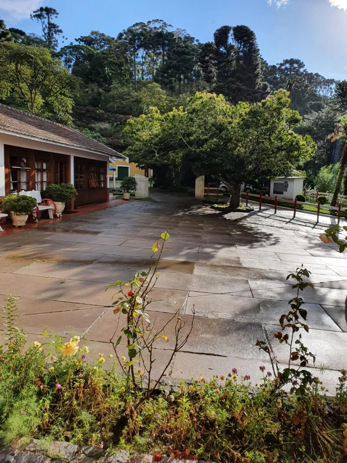 View (from property/room) in Colônia SAA