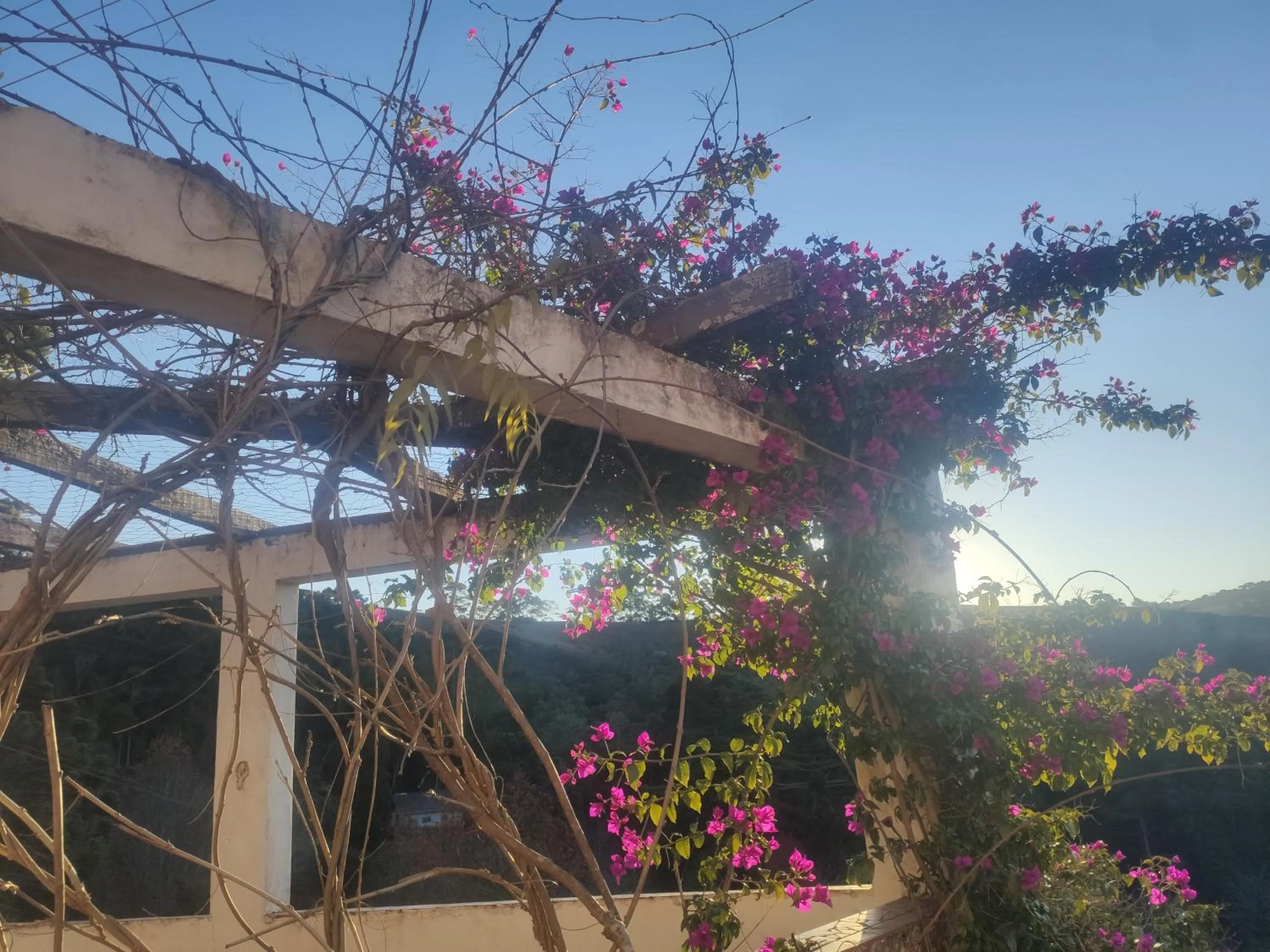 View (from property/room) in Colônia SAA