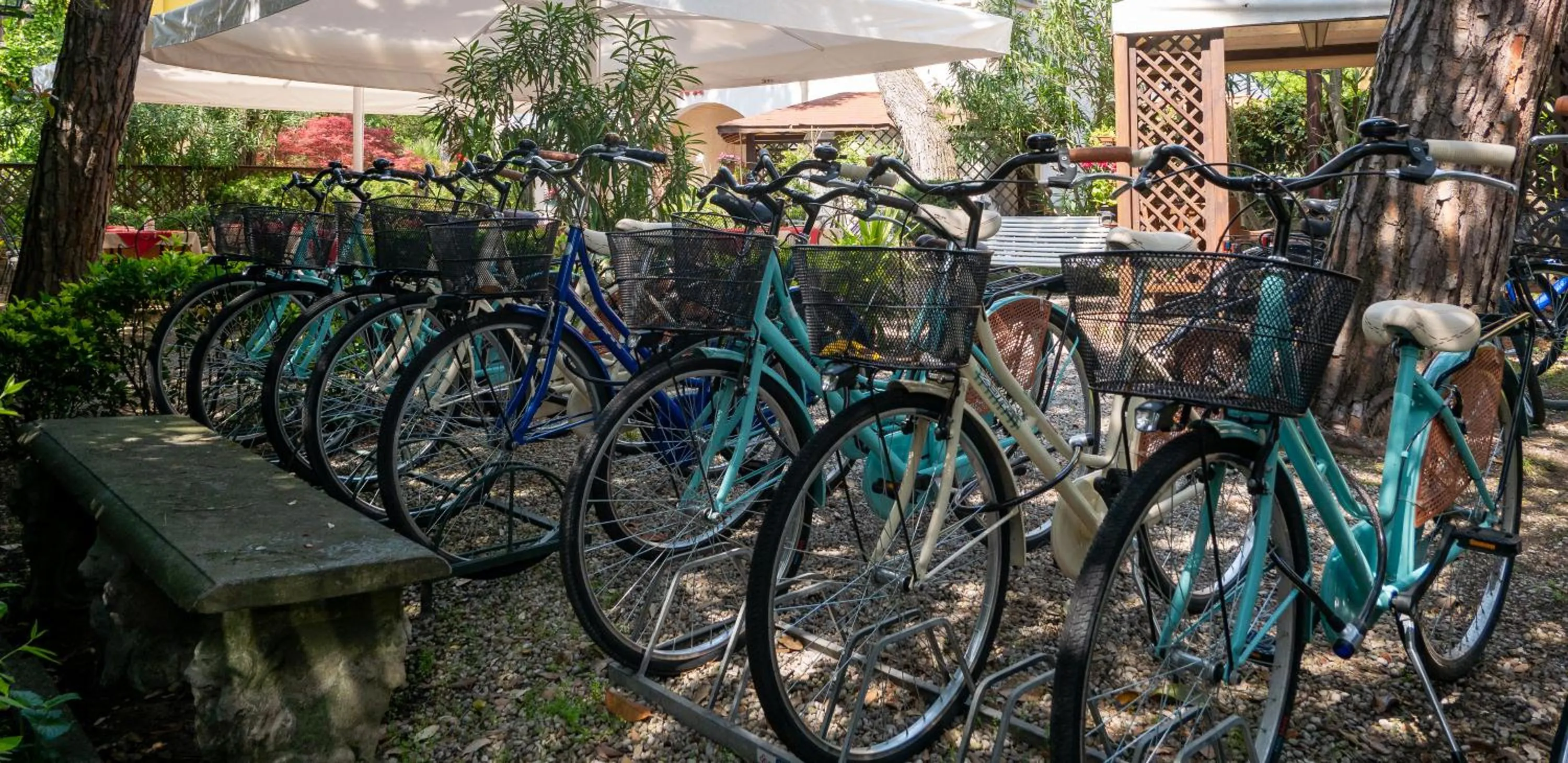 Cycling in Hotel La Meridiana