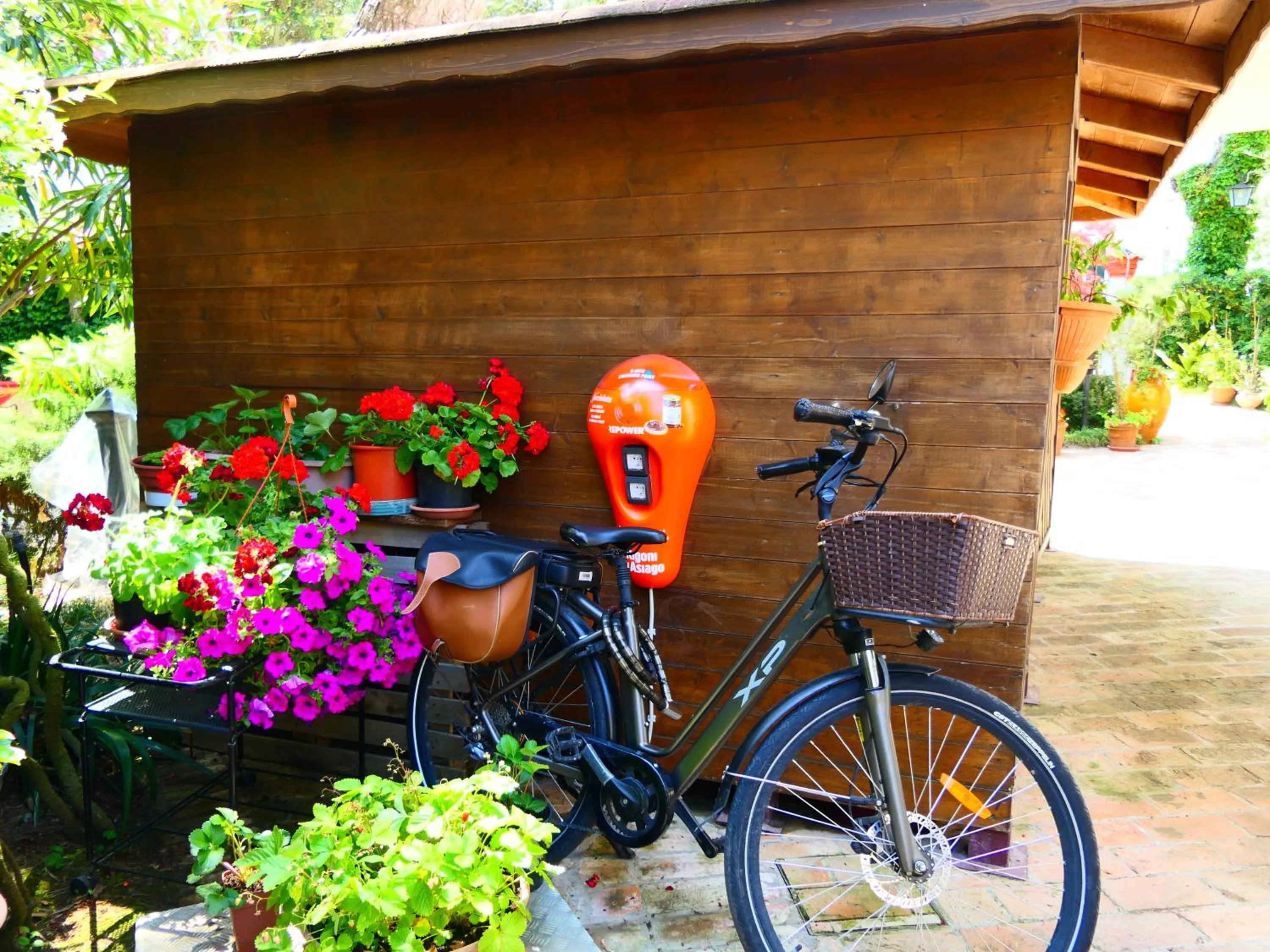 Cycling in Hotel La Meridiana