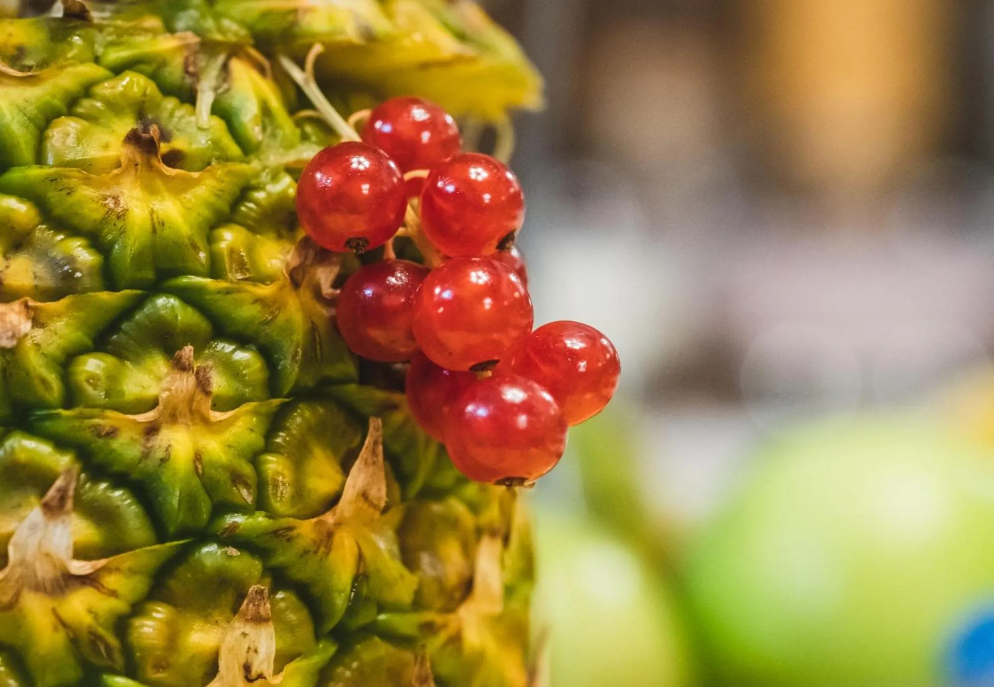 Breakfast in Hotel La Meridiana