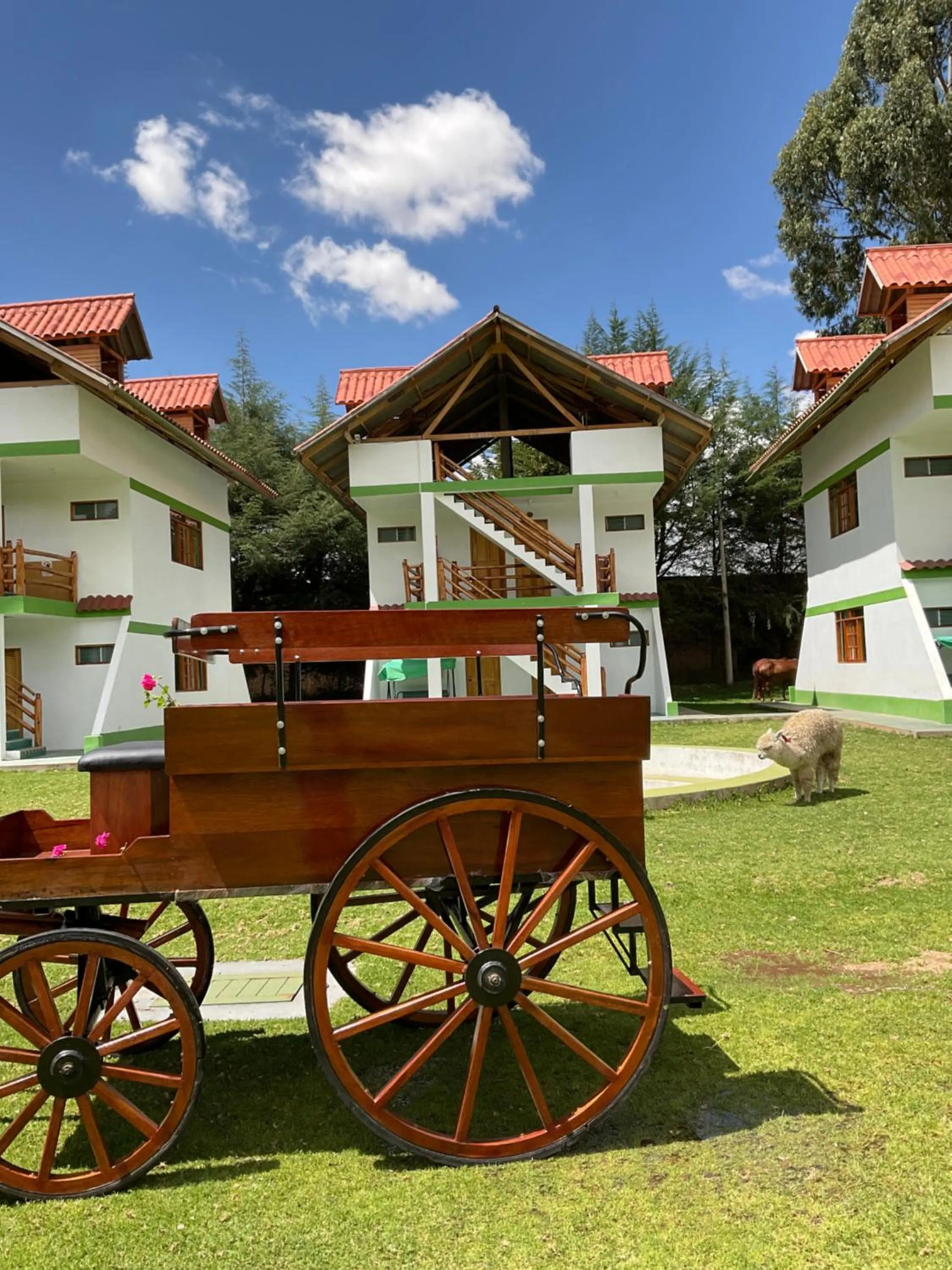 Garden in RESORT ALAPA