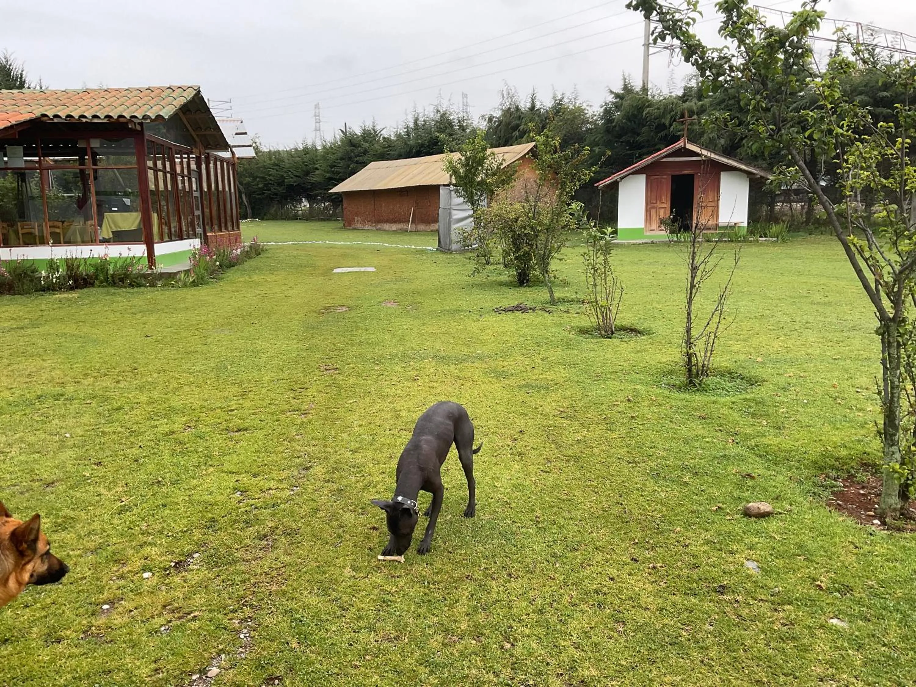 Garden in RESORT ALAPA