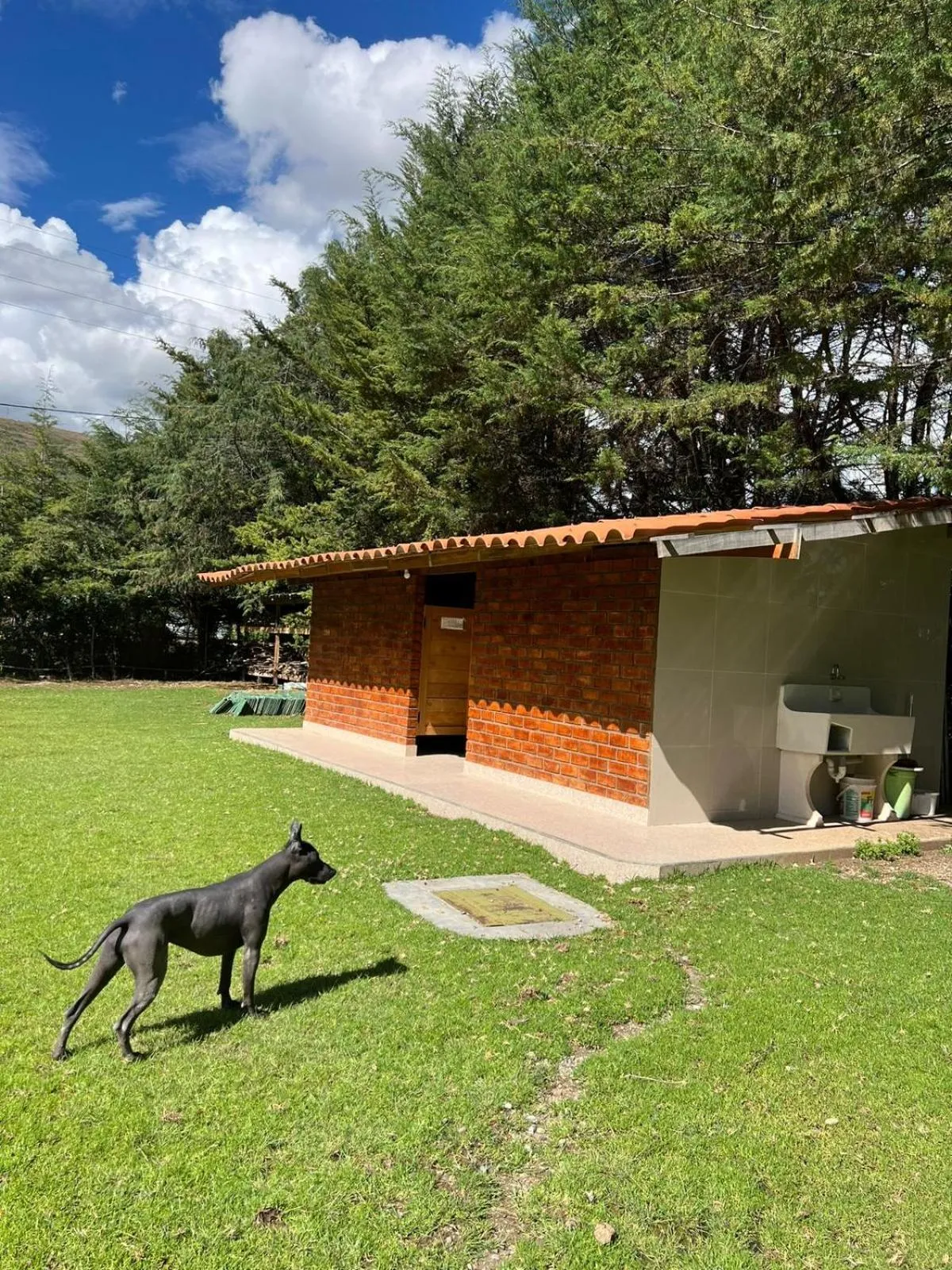 BBQ facilities in RESORT ALAPA