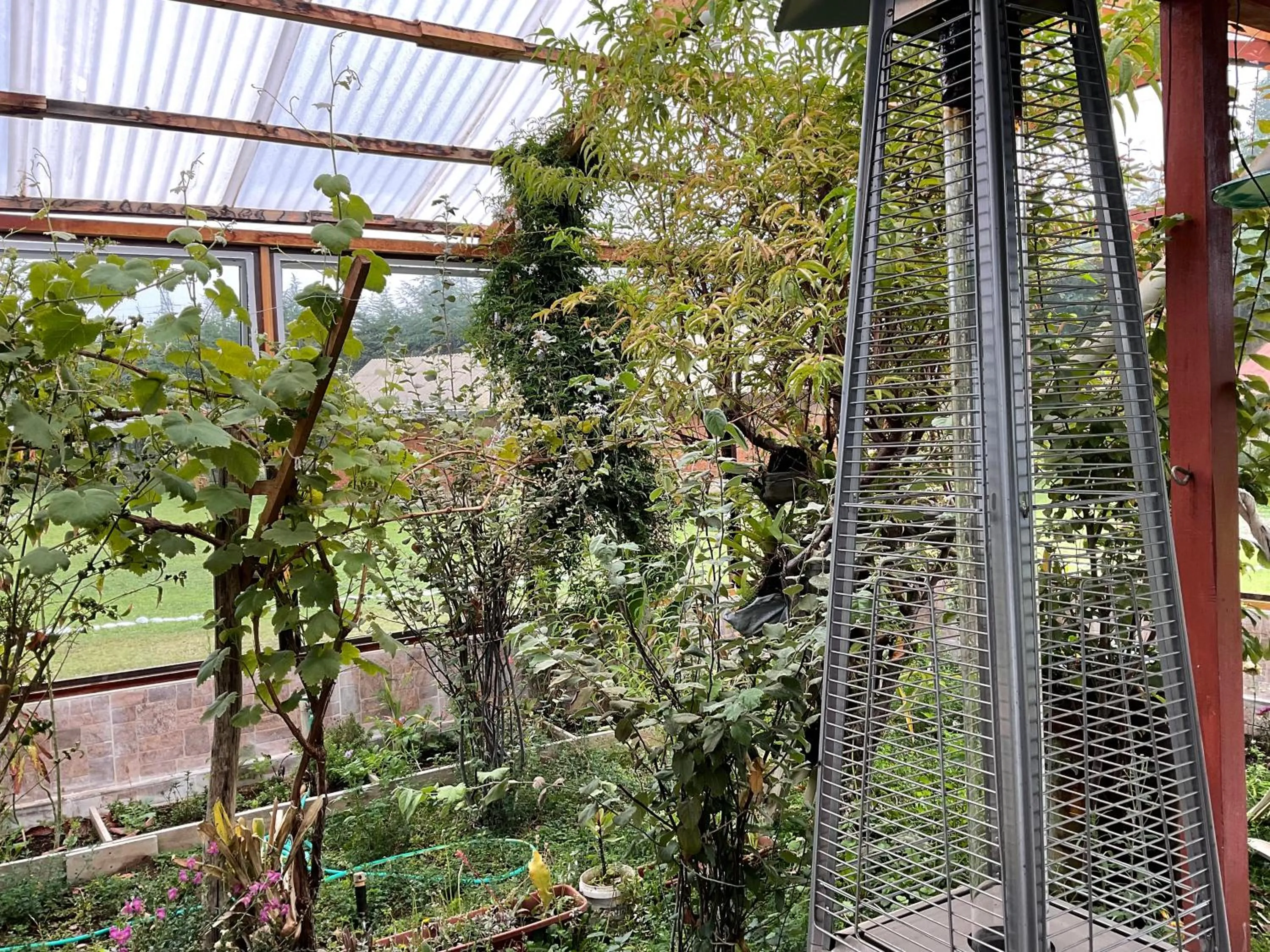 Garden in RESORT ALAPA