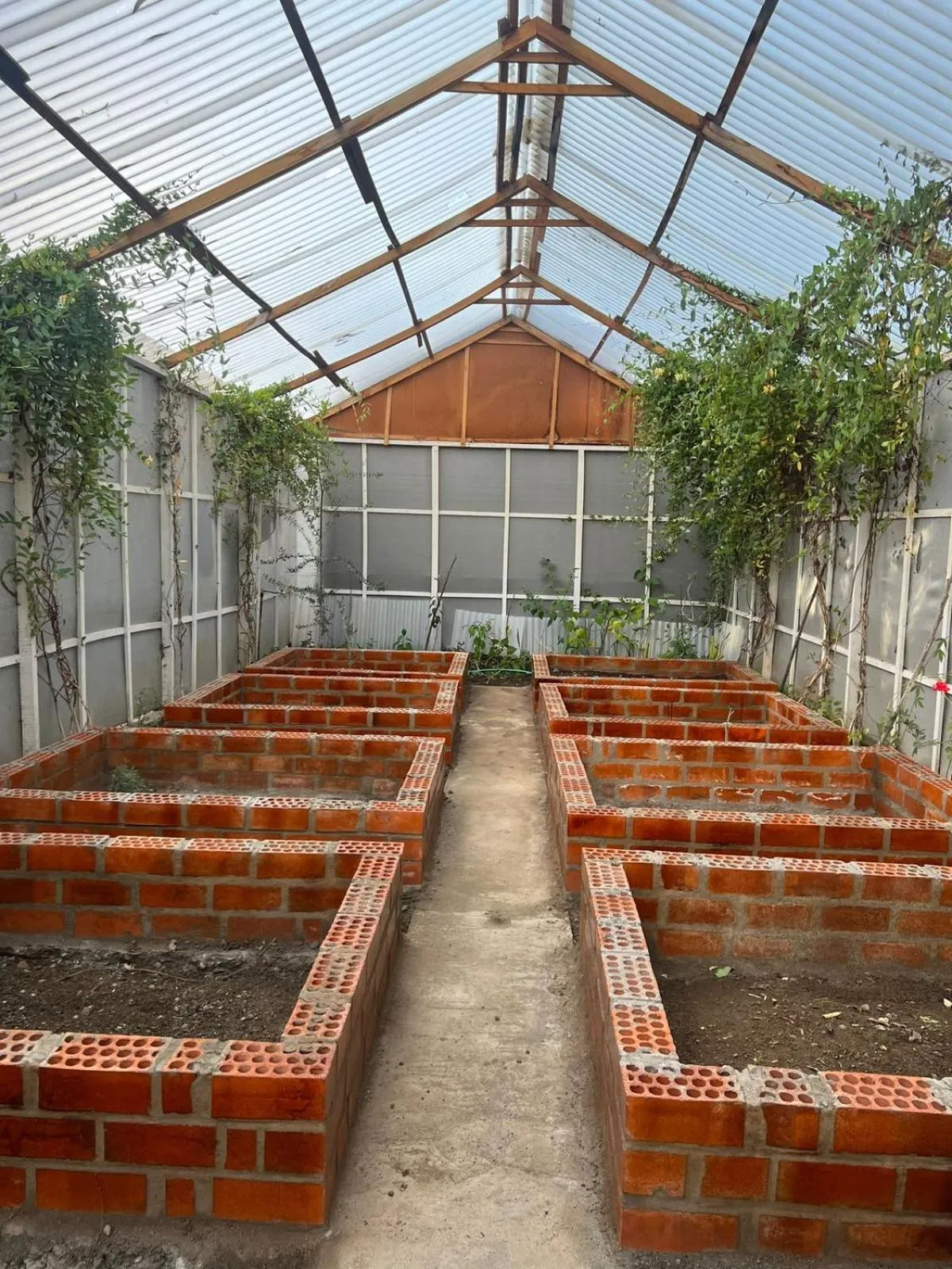 Garden view in RESORT ALAPA