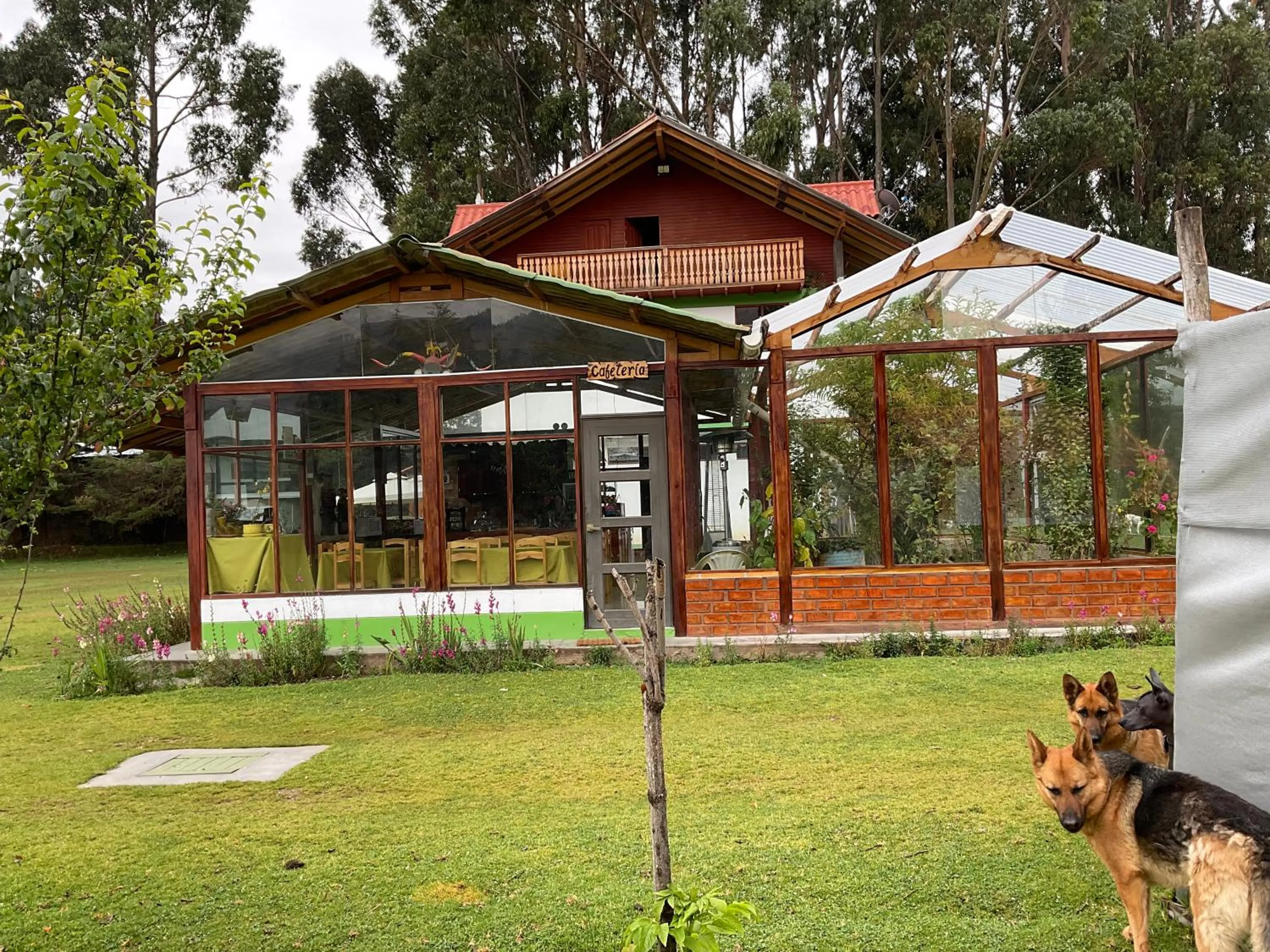 Restaurant/places to eat in RESORT ALAPA