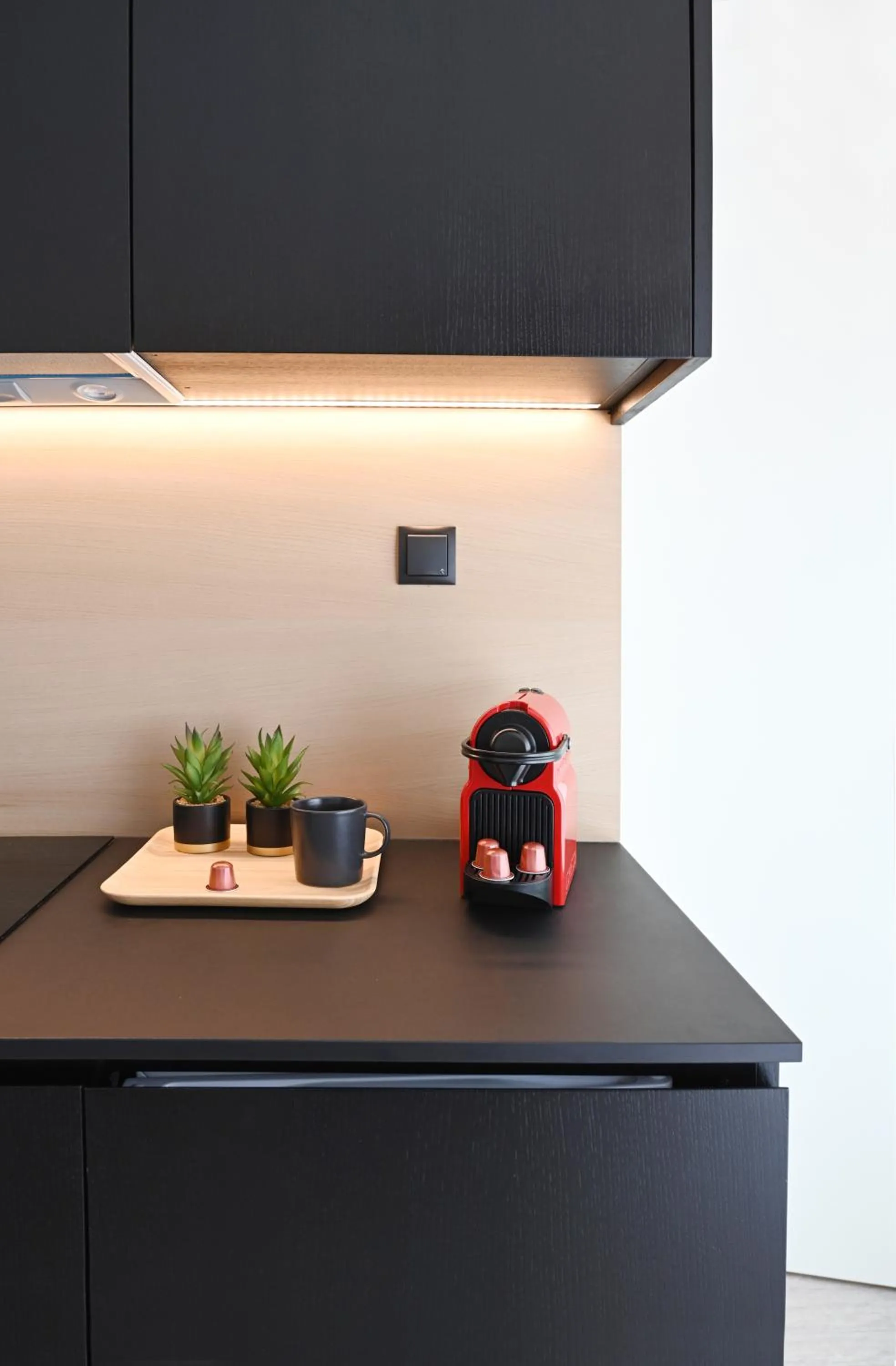 Kitchen or kitchenette in ICON Urban Living