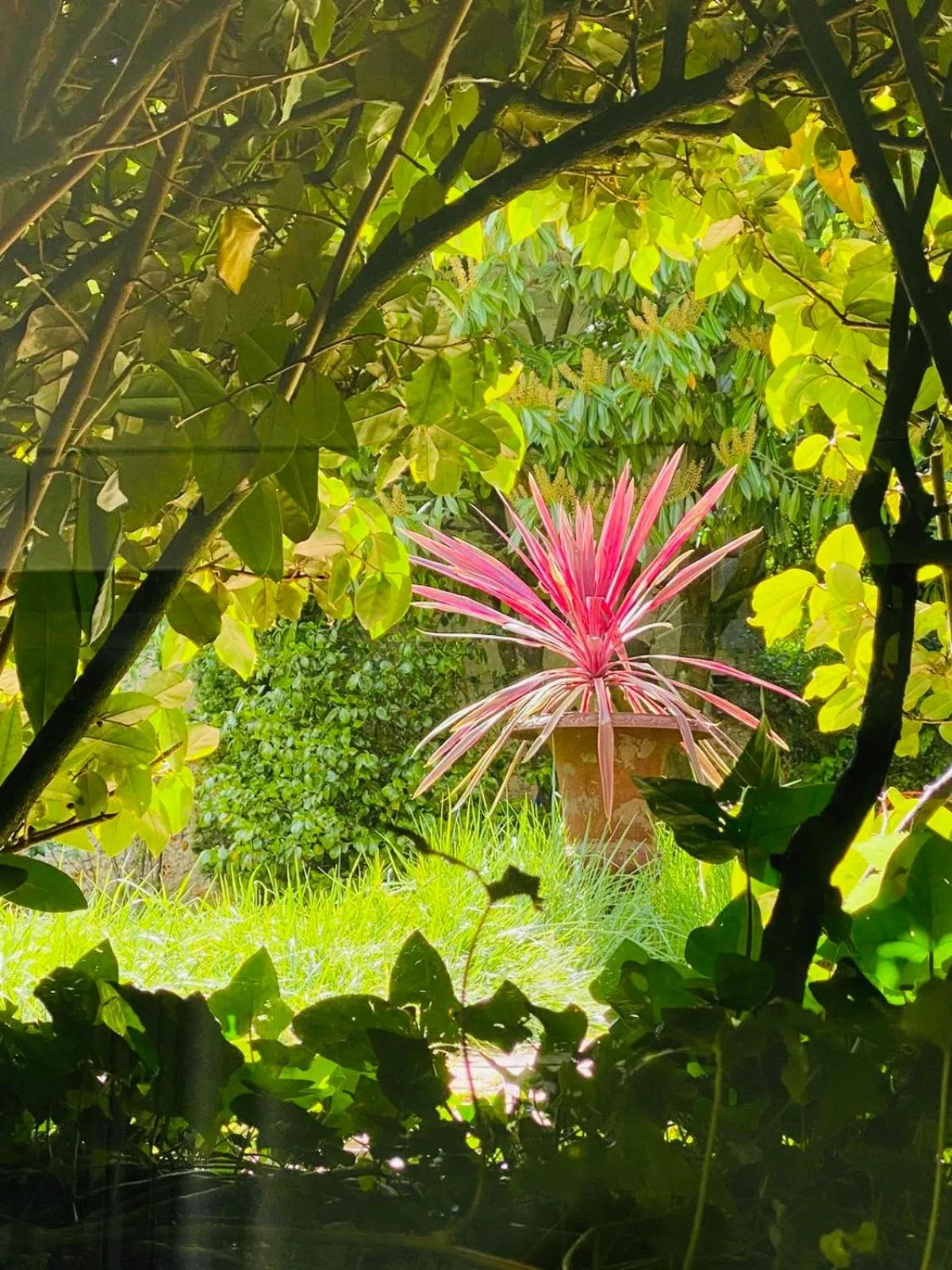 Garden in Villa Talisman