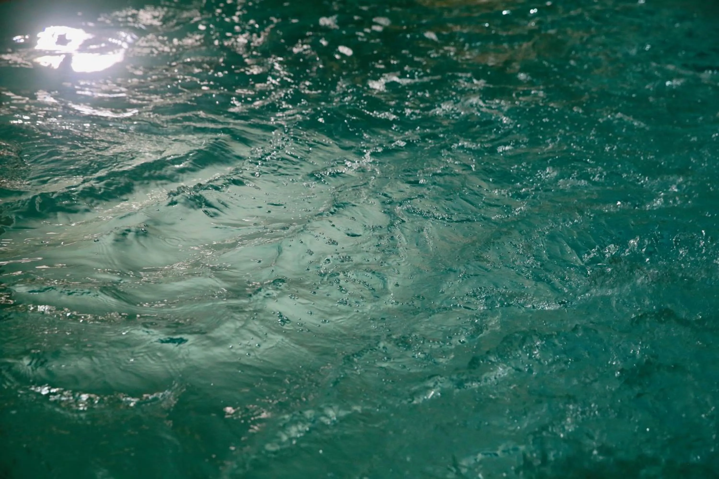 Swimming pool in Villa Talisman