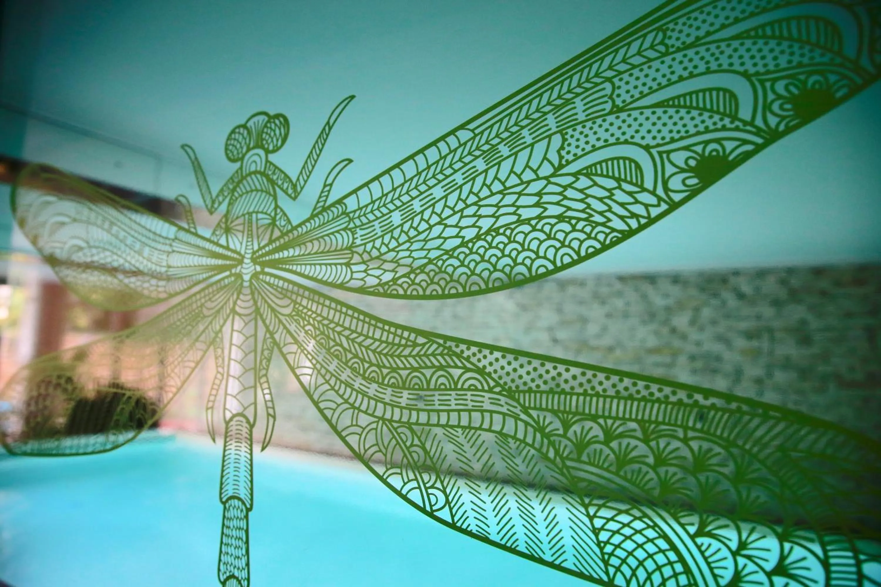 Swimming pool in Villa Talisman